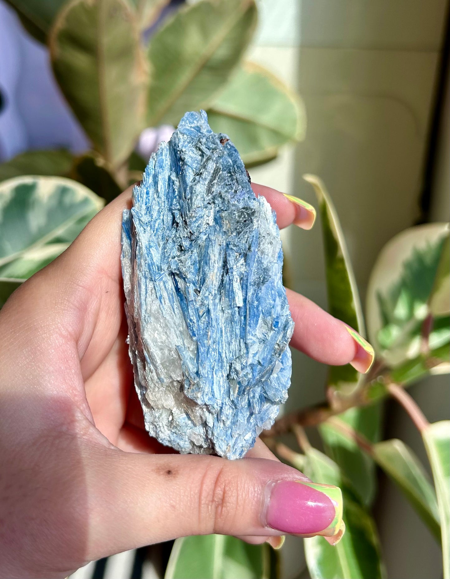 Blue Kyanite