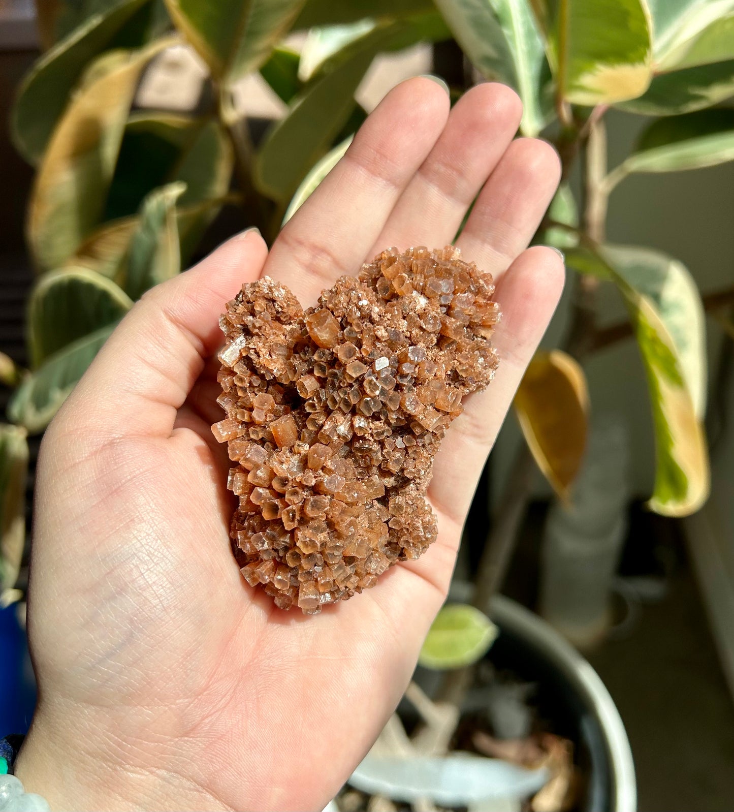 Red Aragonite Cluster