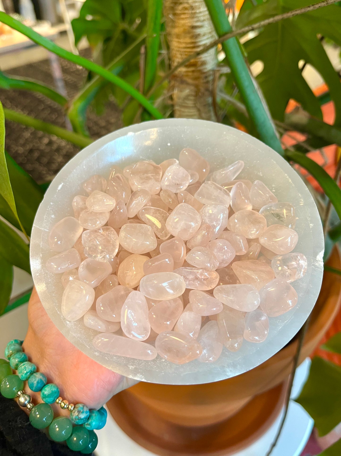 Rose Quartz Tumble - Small - Luna Metaphysical