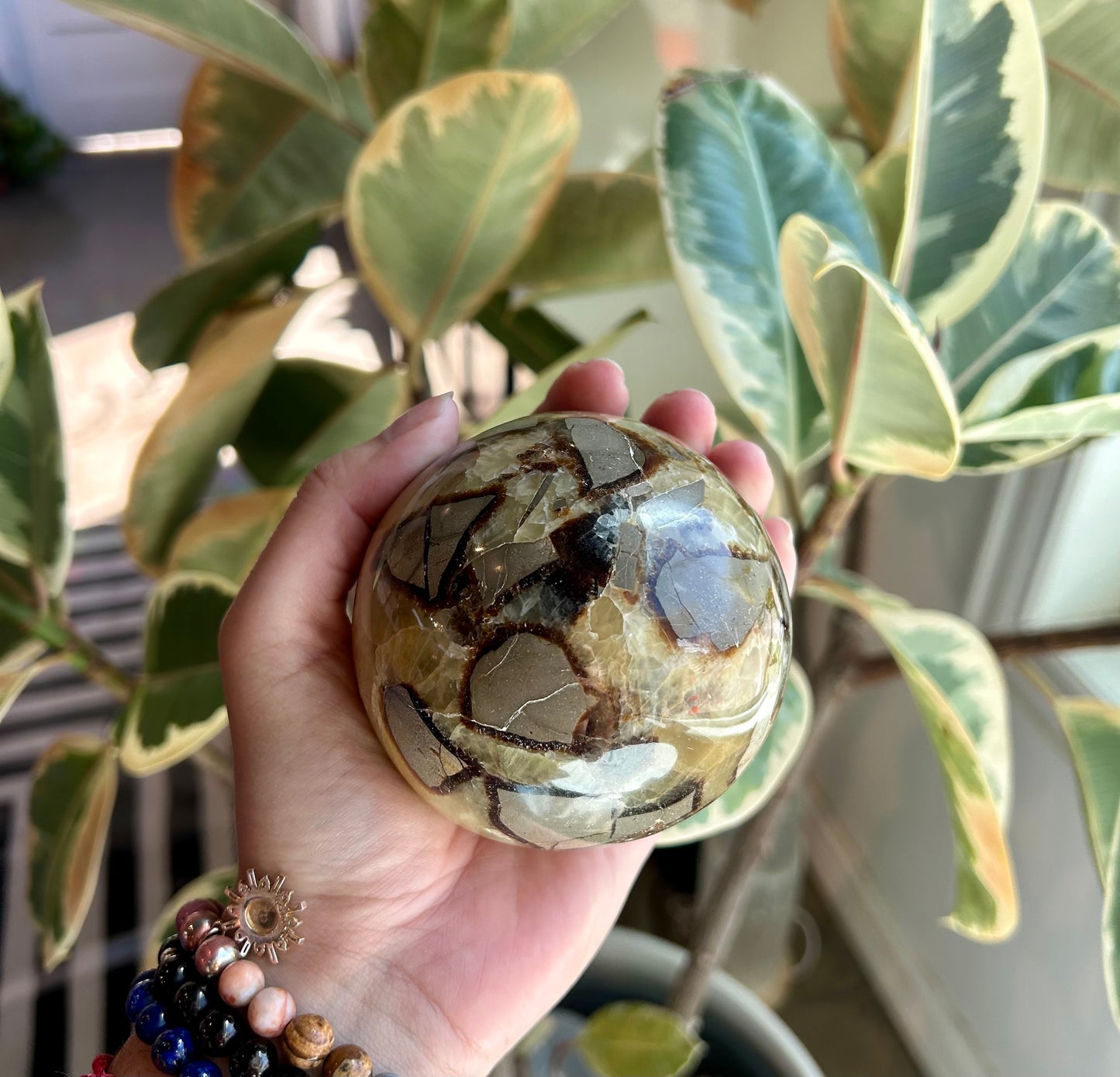 Septarian Sphere