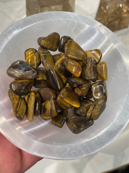 Extra Small Tigers Eye Tumbleds