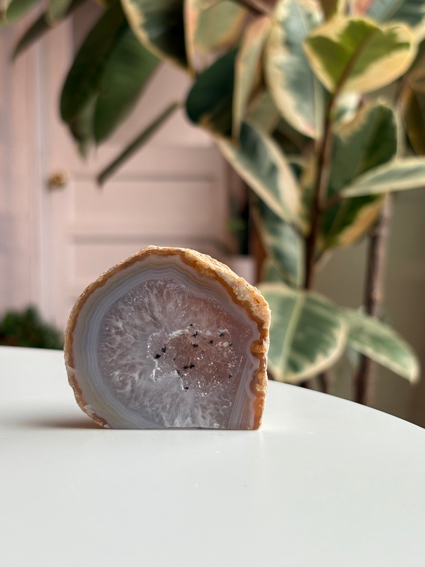 Agate Cut Base