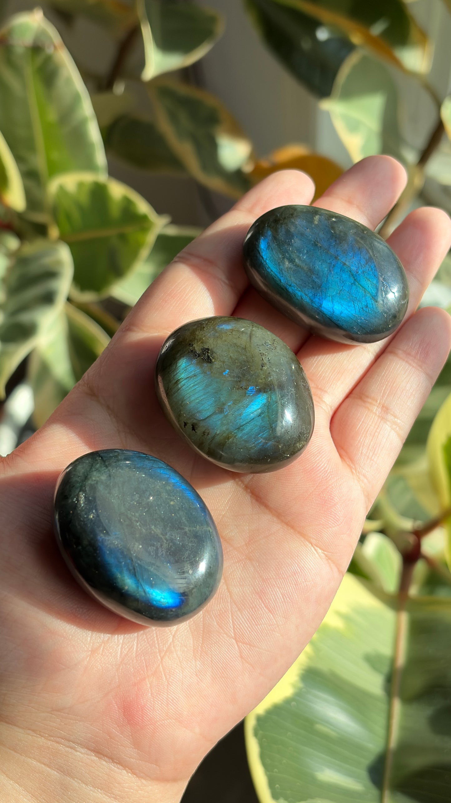 High Grade Madagascar Labradorite Small Palm Stones