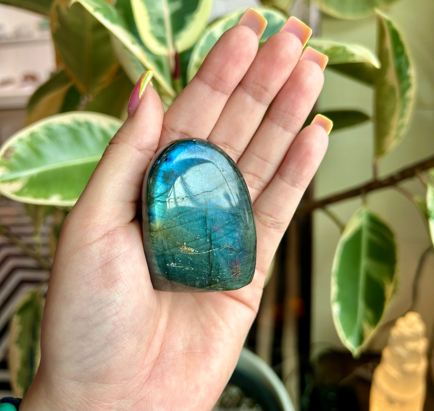 Labradorite Freeform