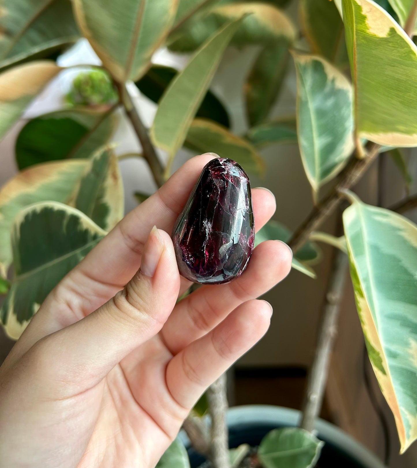 Small Polished Garnet Freeform