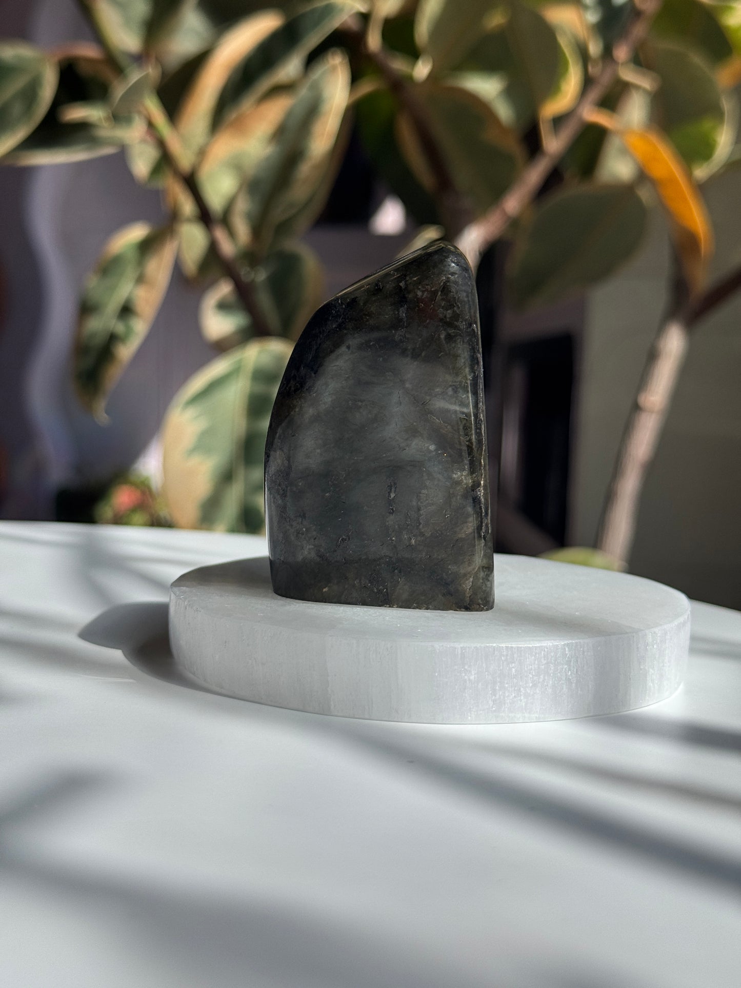 Polished Labradorite Freeform - LB7