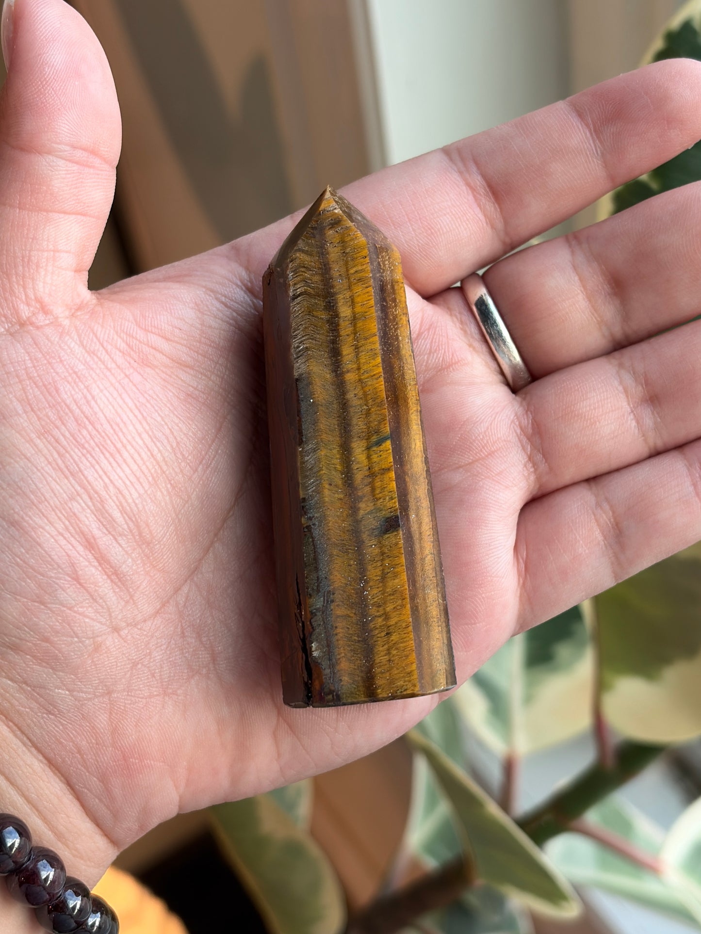 Tiger’s Eye Tower TE5