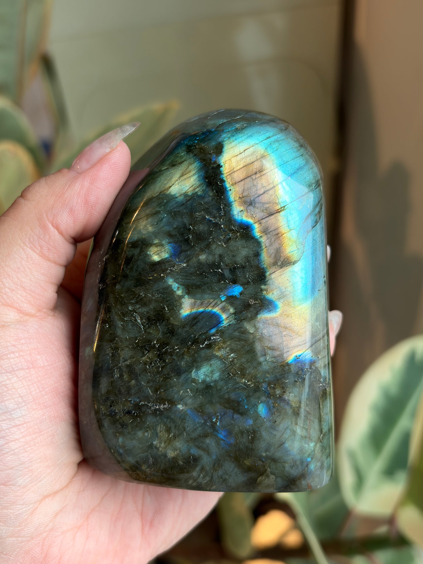 Labradorite Freeform LB15