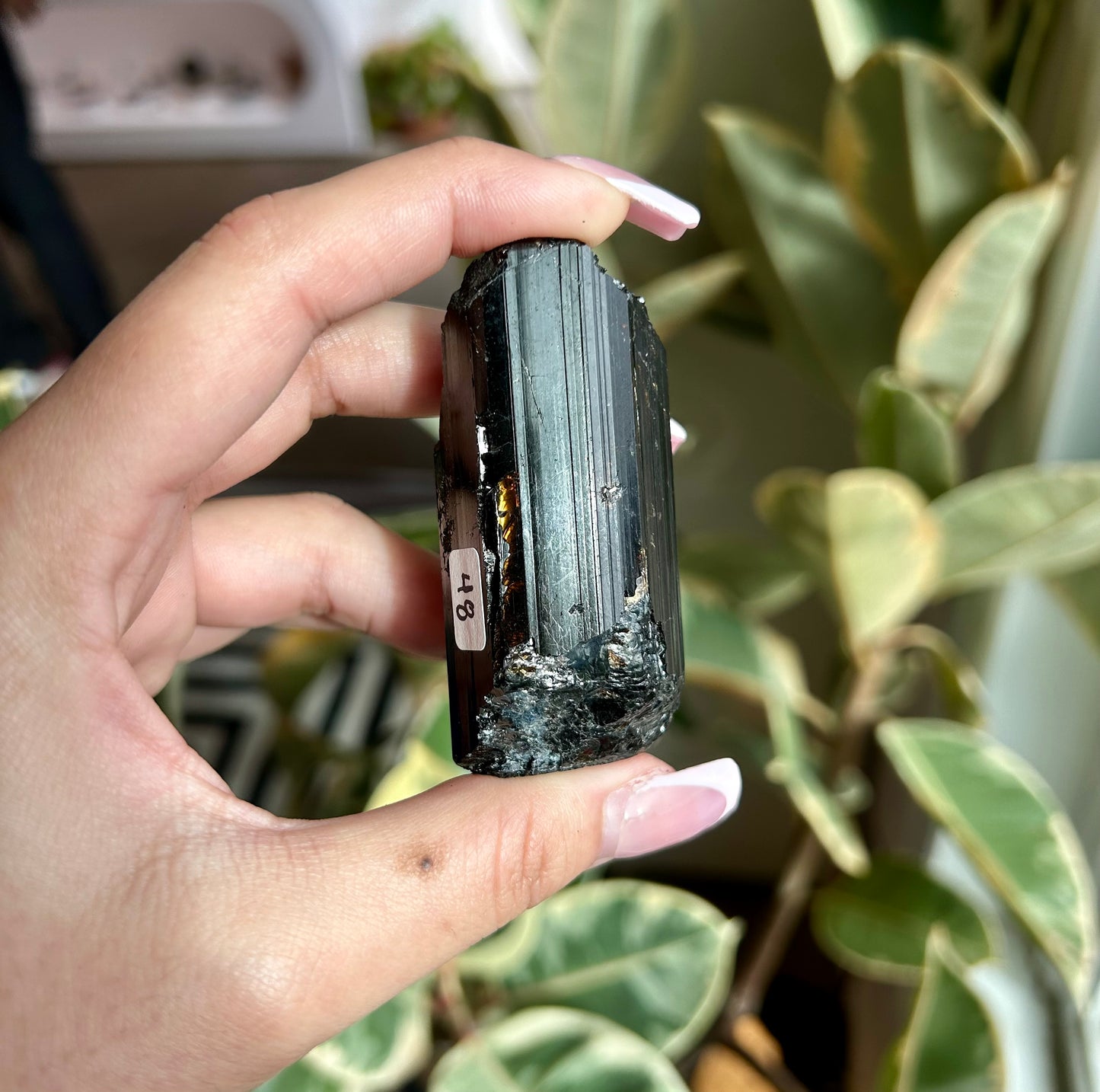 AAA+ Unpolished Black Tourmaline