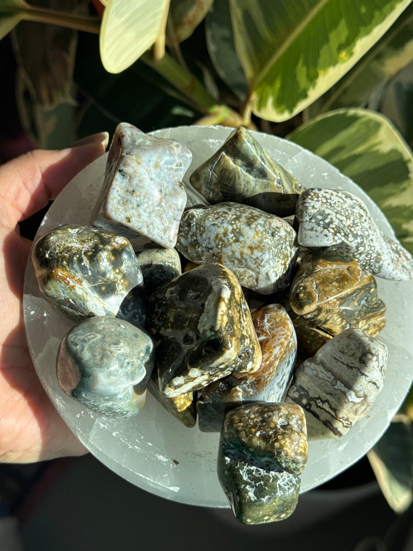 Large Ocean Jasper Tumbled