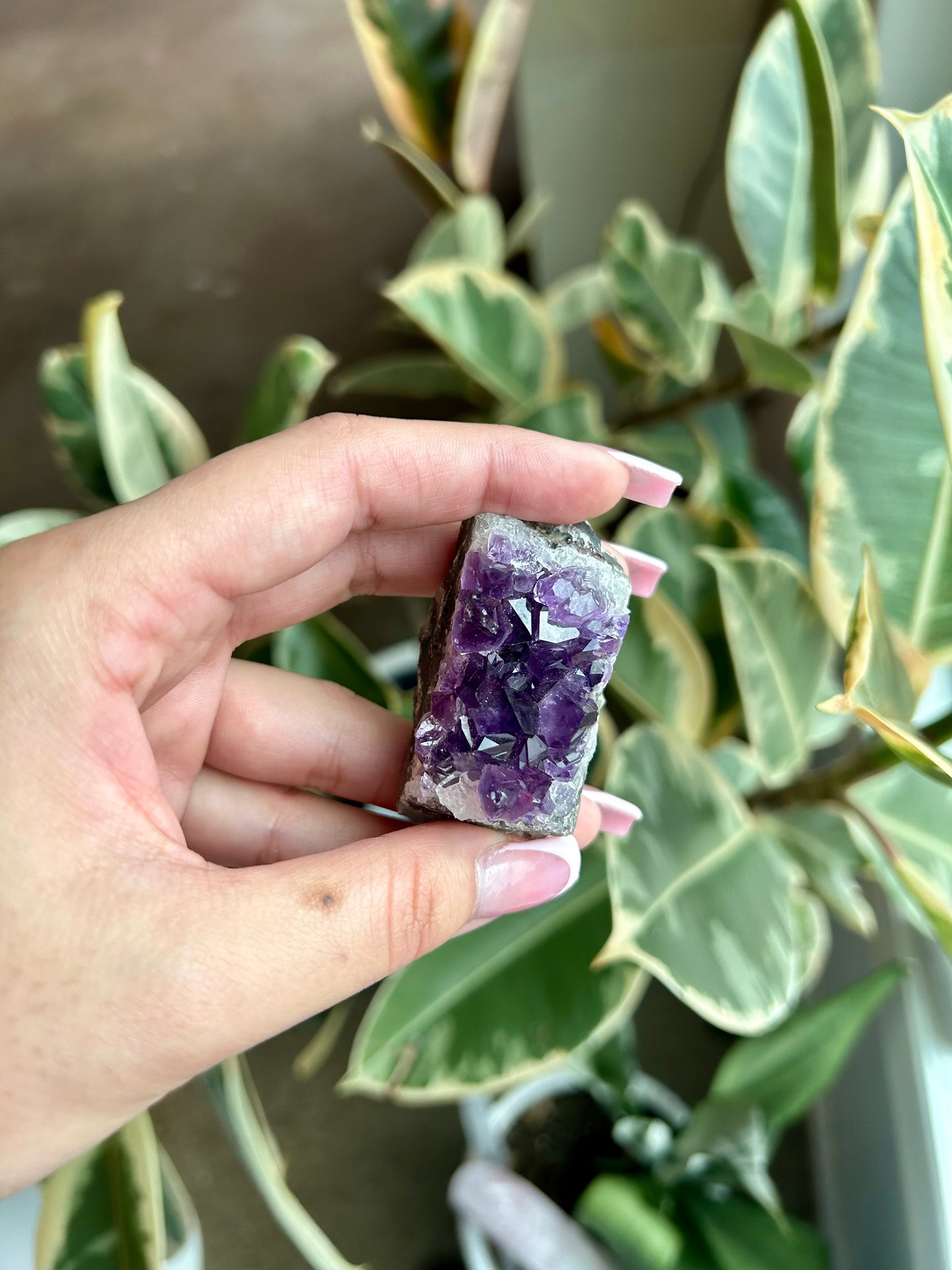 Amethyst Cluster