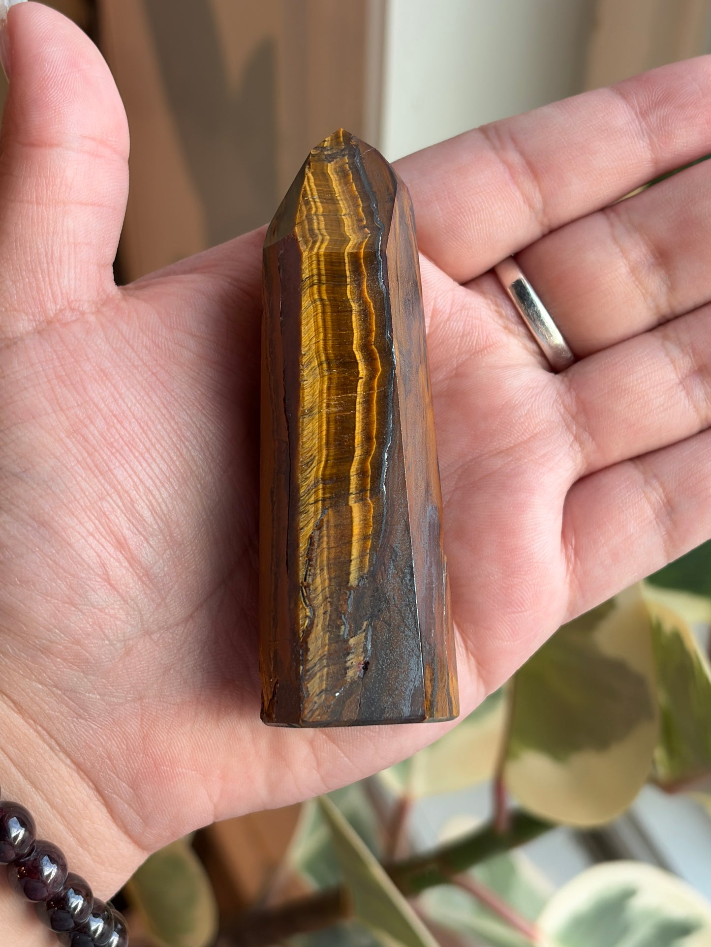 Tiger’s Eye Tower TE1