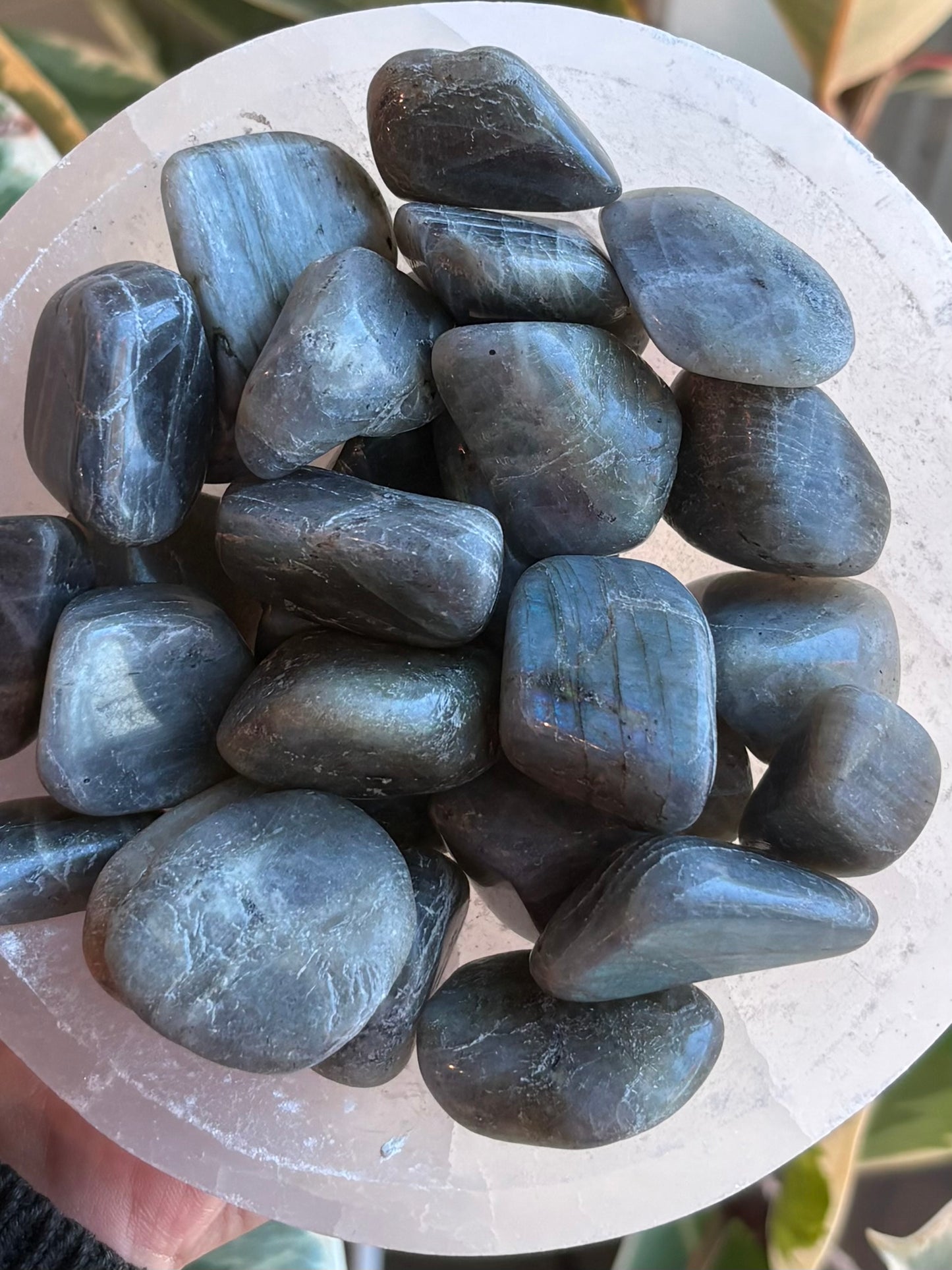 Moroccan Labradorite Large Tumble
