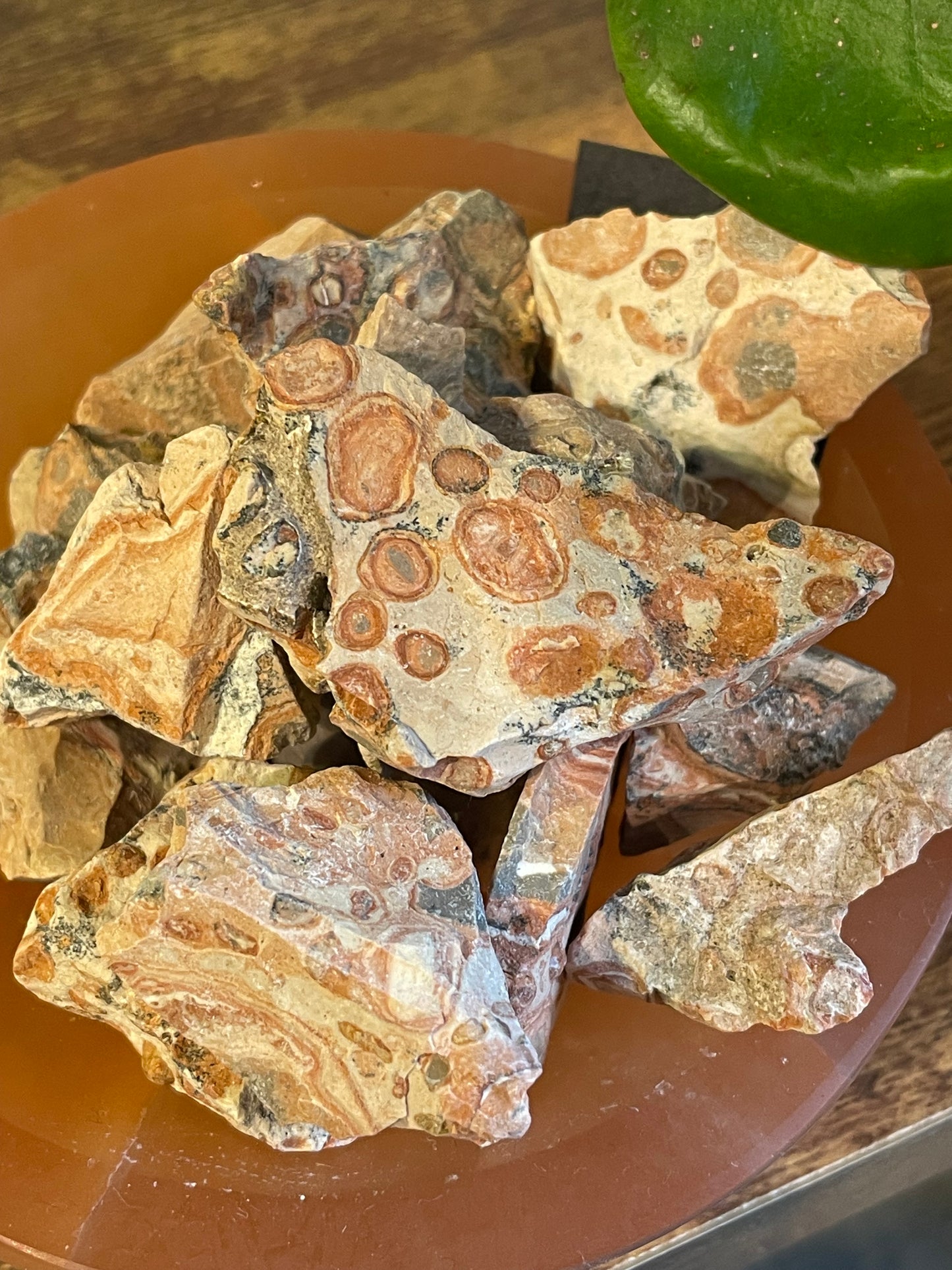 XS Rough Leopard Jasper