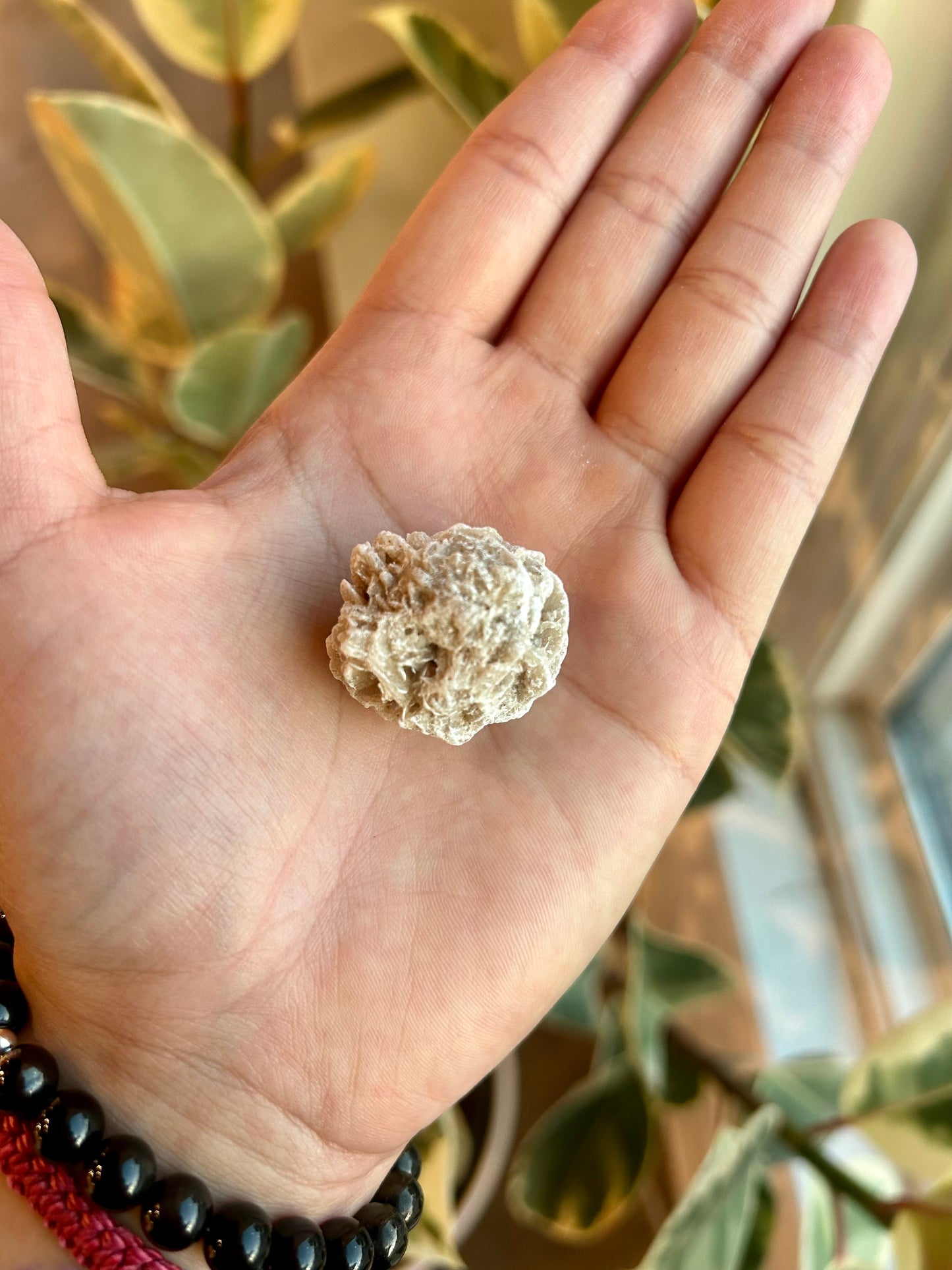 Desert Rose Selenite Tumble