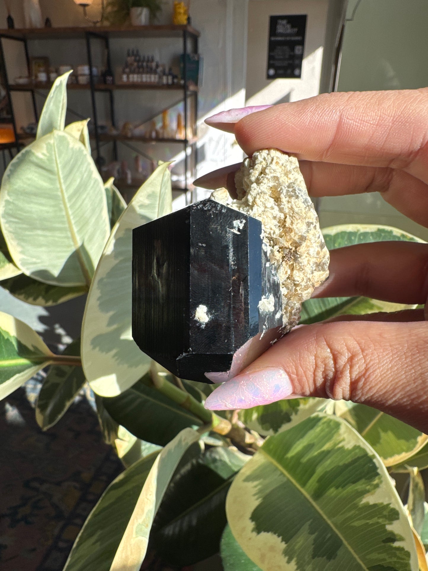 Namibian Black Tourmaline Specimen #3