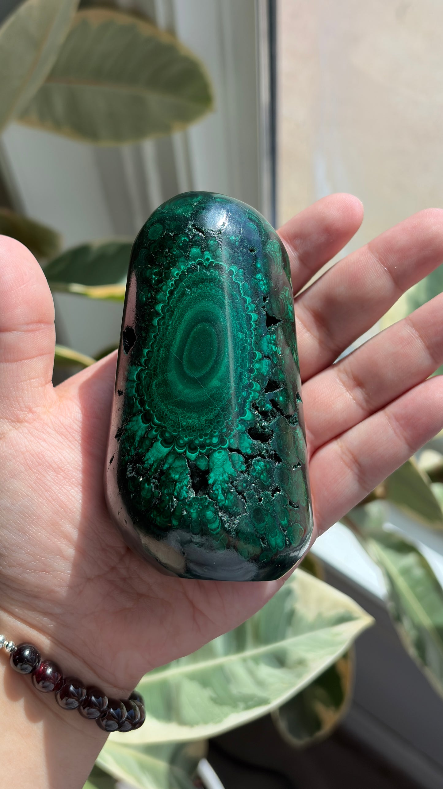 High Grade Polished Malachite Freeform