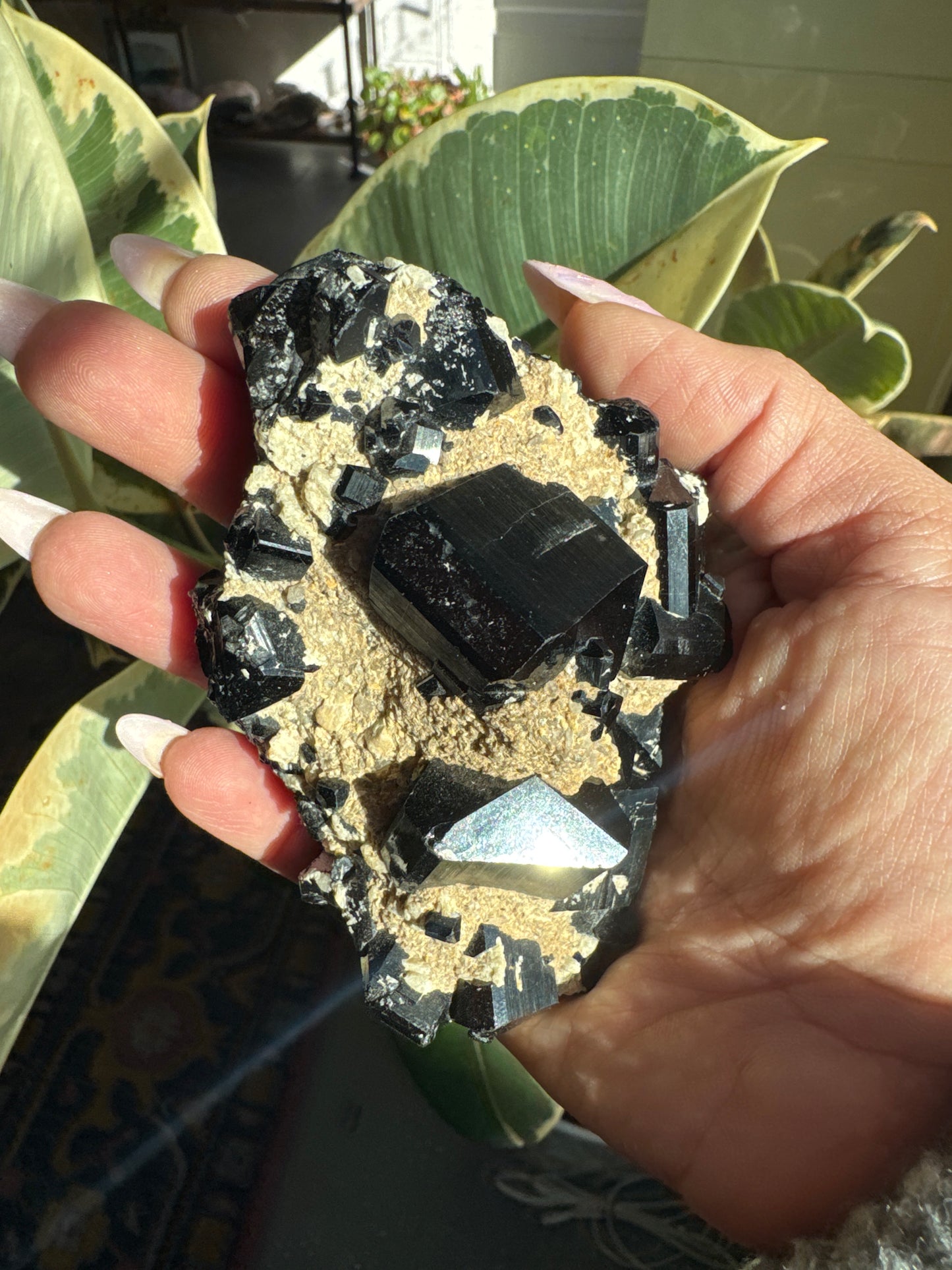 Namibian Black Tourmaline Specimen #3