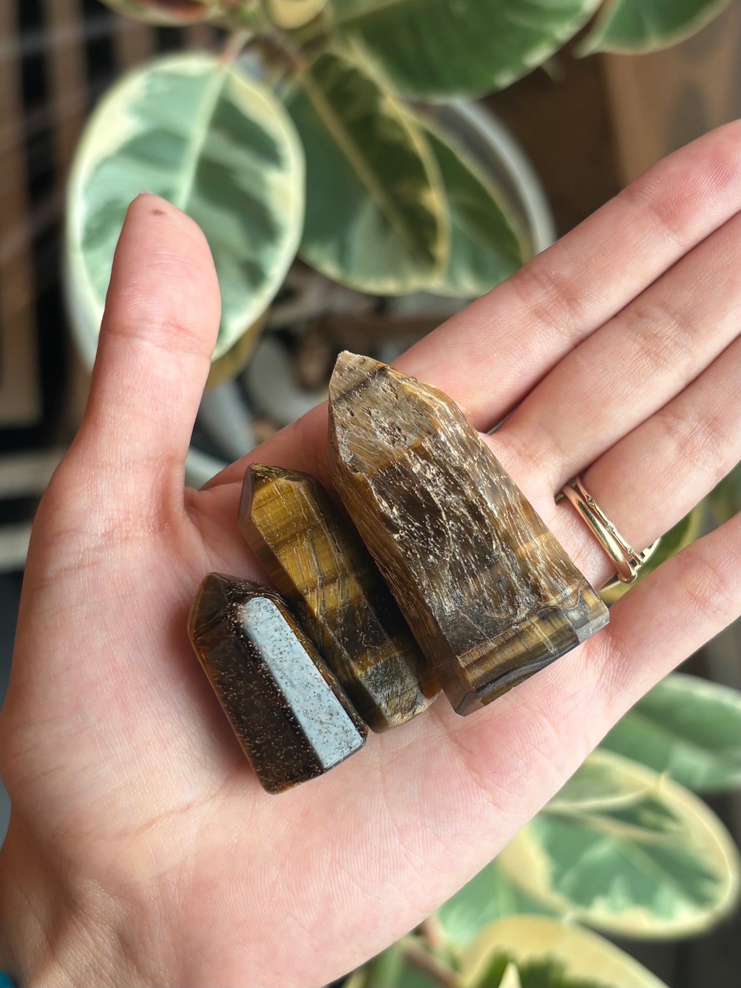 Mini Tigers Eye Tower