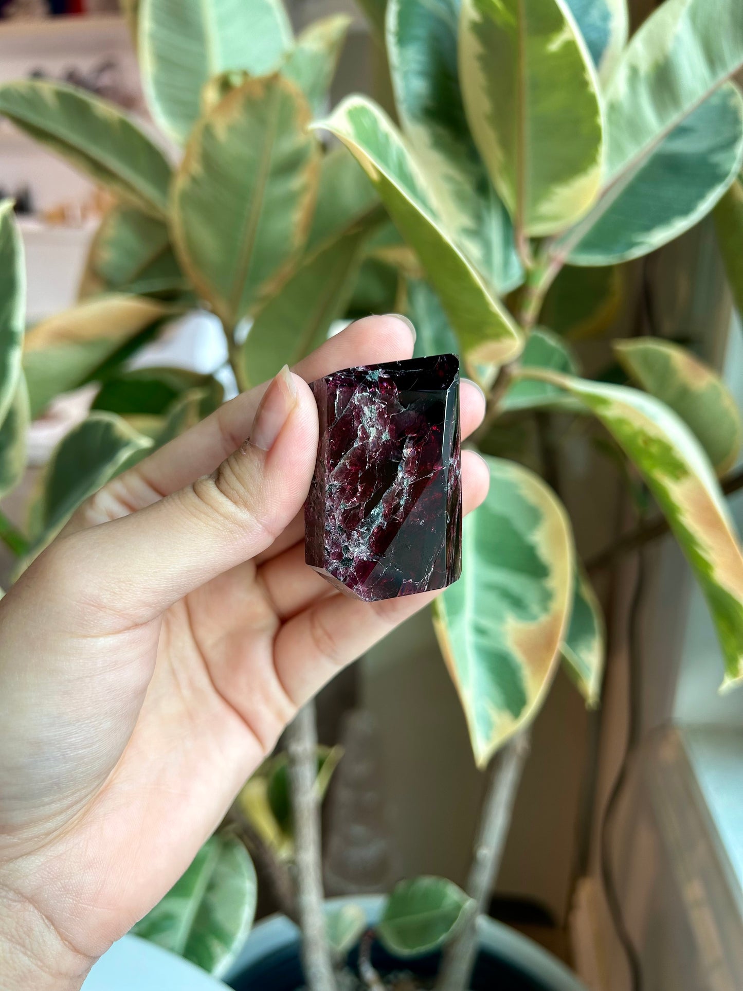 Small Polished Garnet Freeform