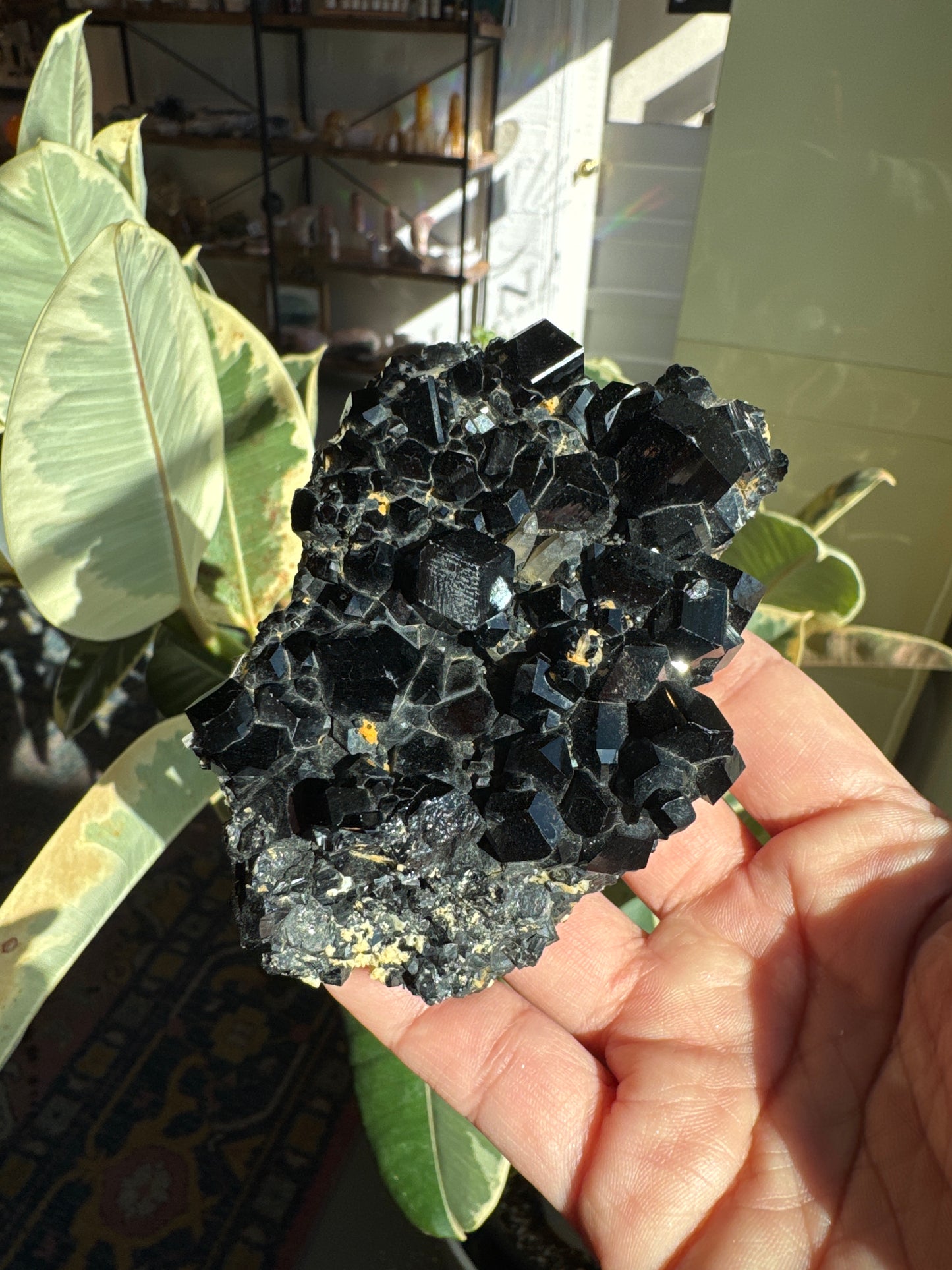 Namibian Black Tourmaline Specimen #2 (rare)