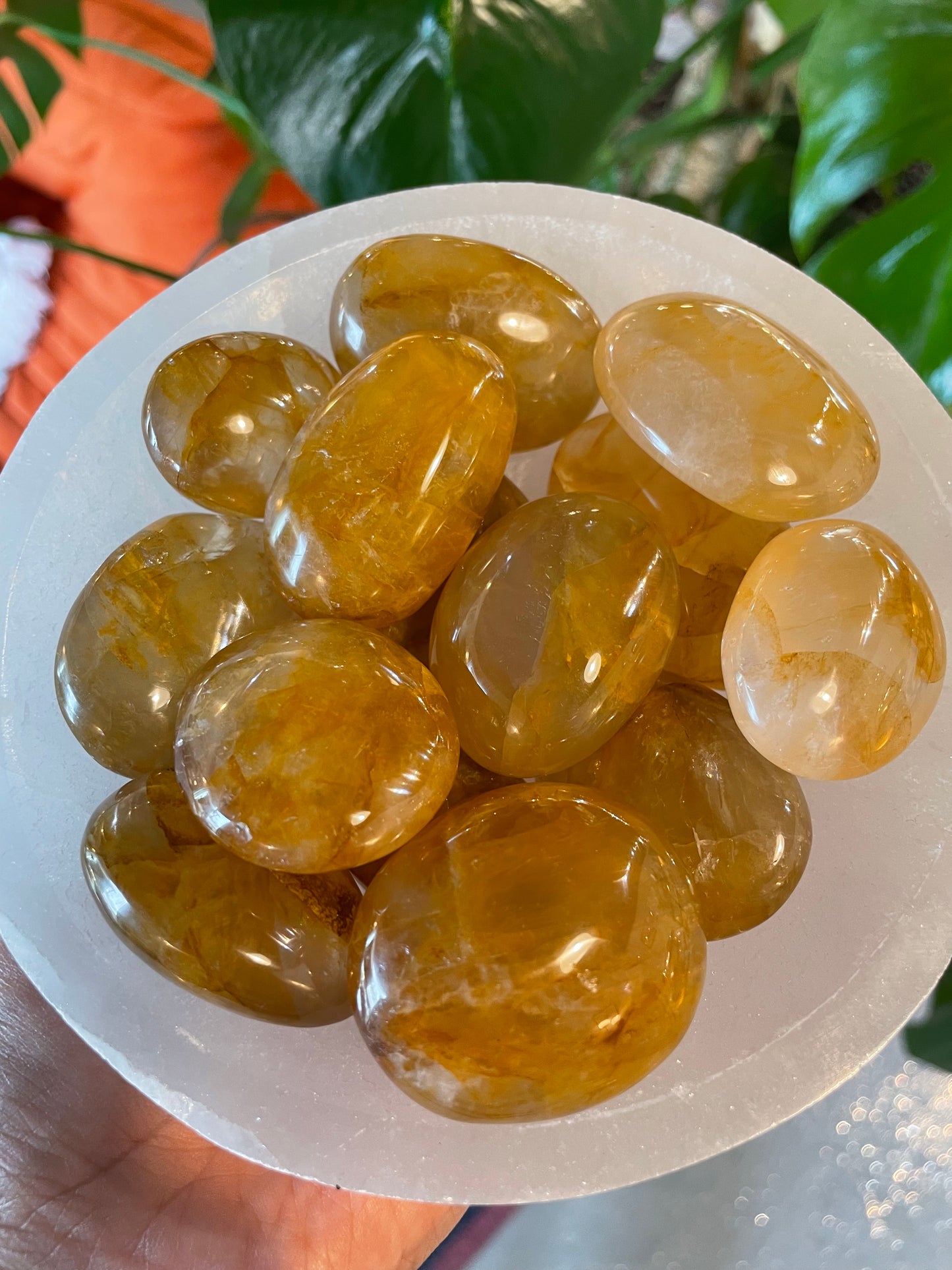 Golden Healer Palm Stone