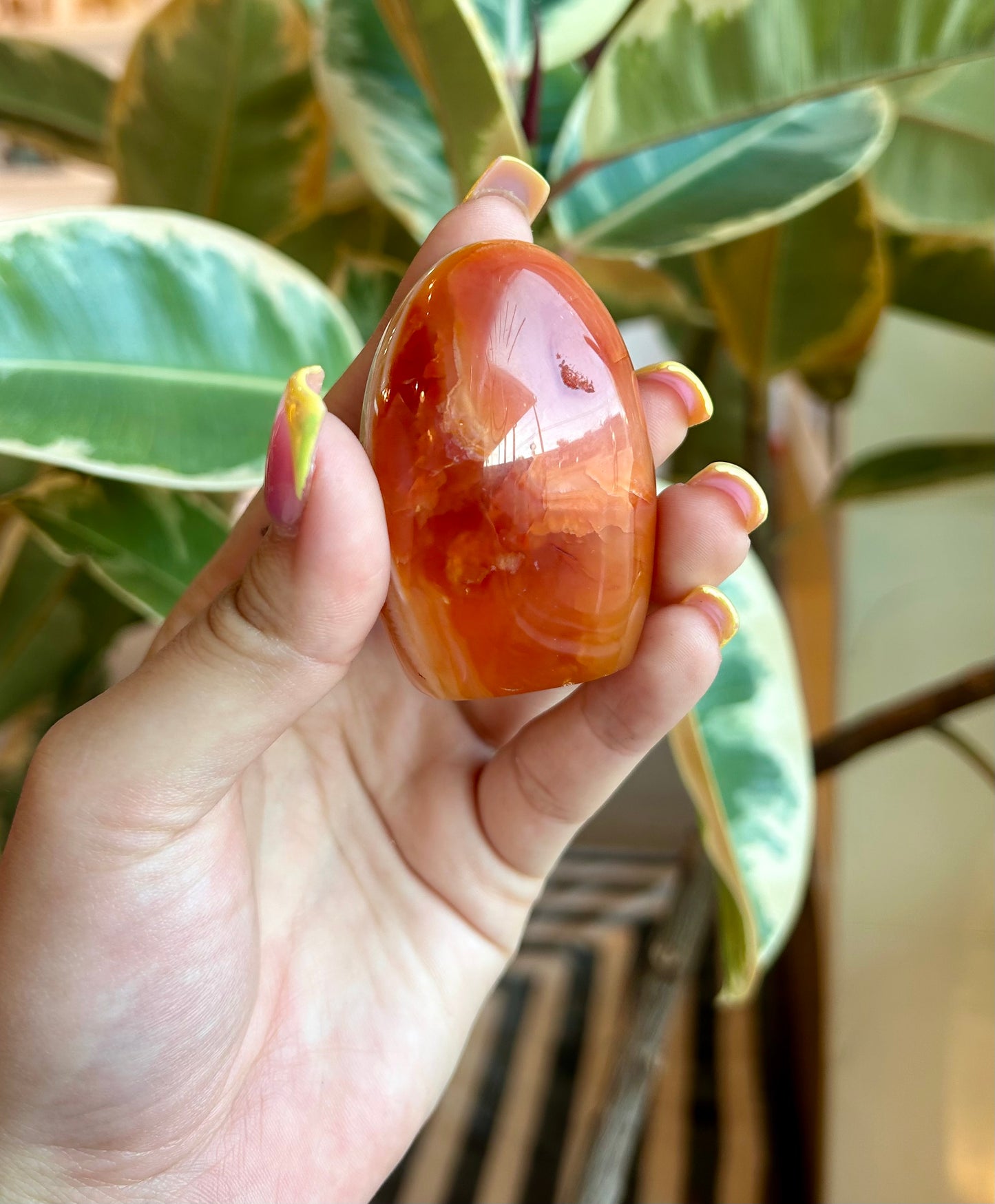 Carnelian Freeform - TT LIVE
