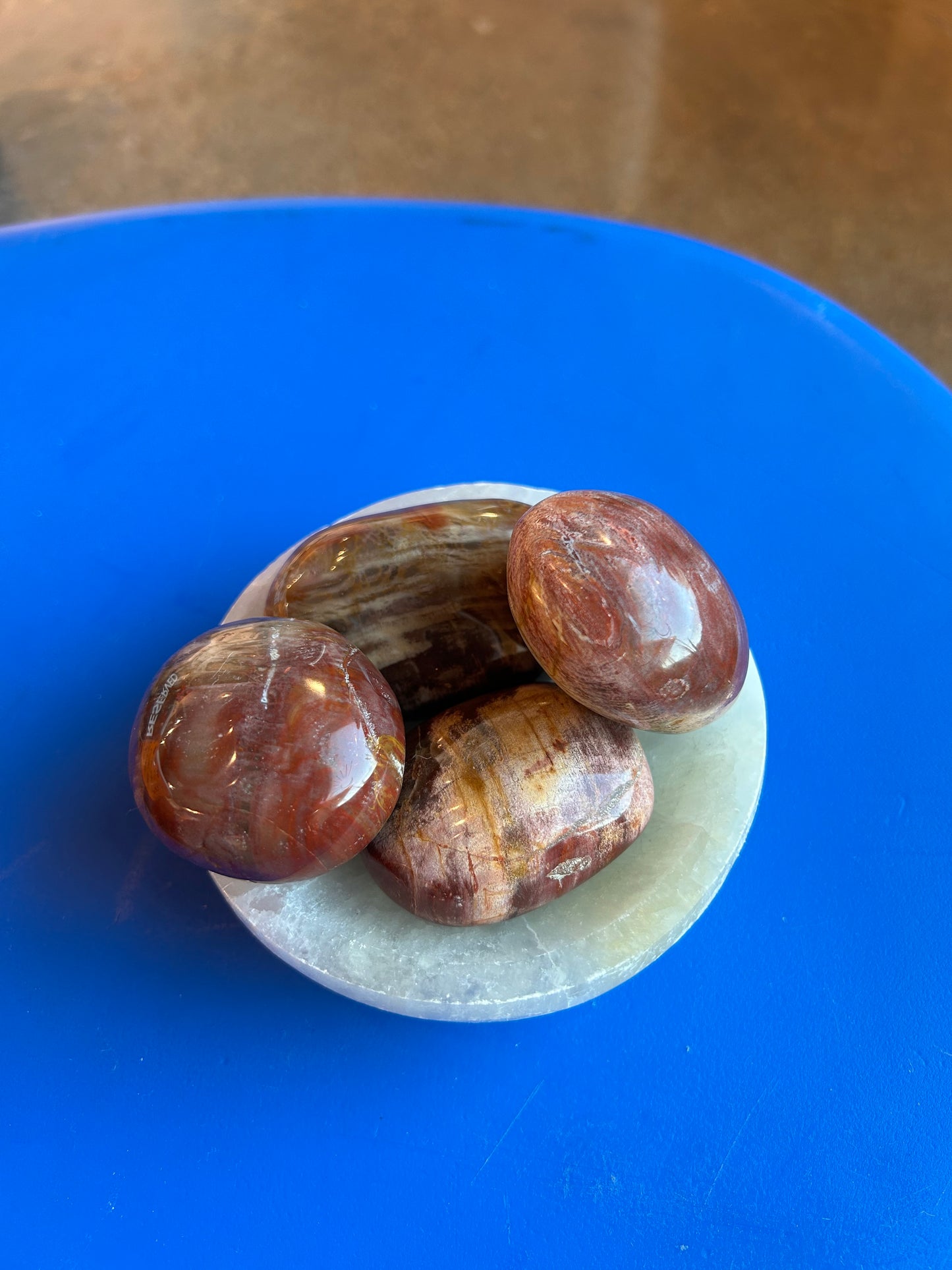 Petrified Wood Palm Stone