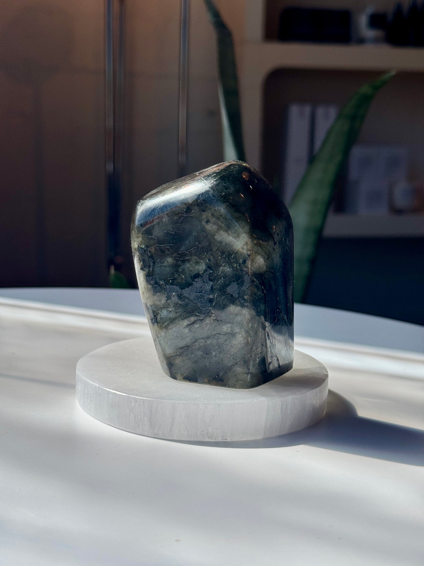 Polished Labradorite Freeform - LB5
