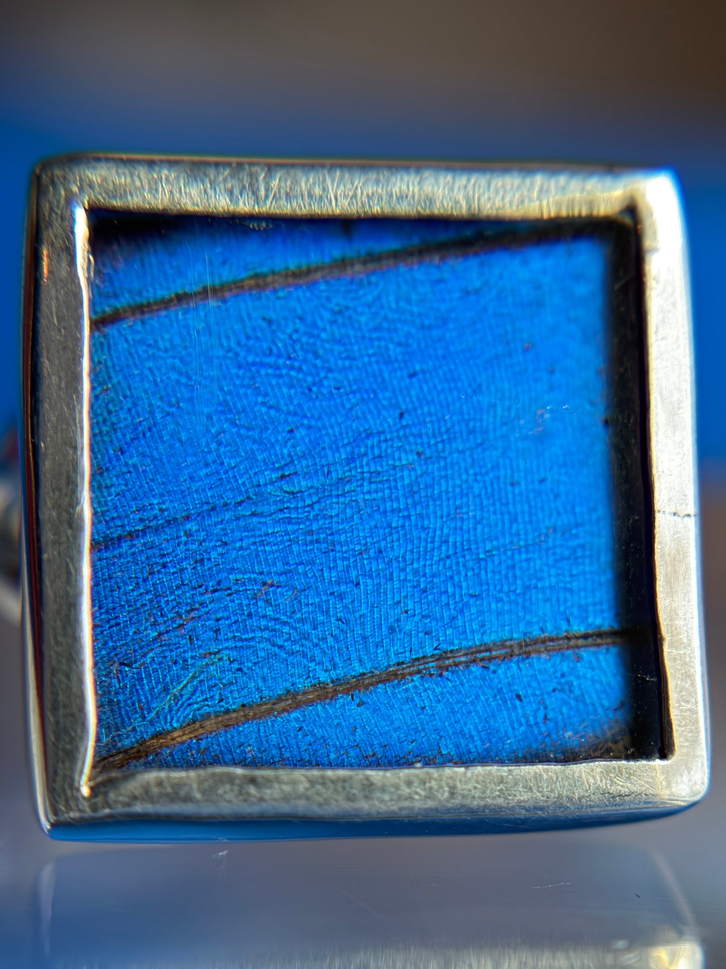 Blue Morpho Butterfly Ring Size 5 Sterling Silver