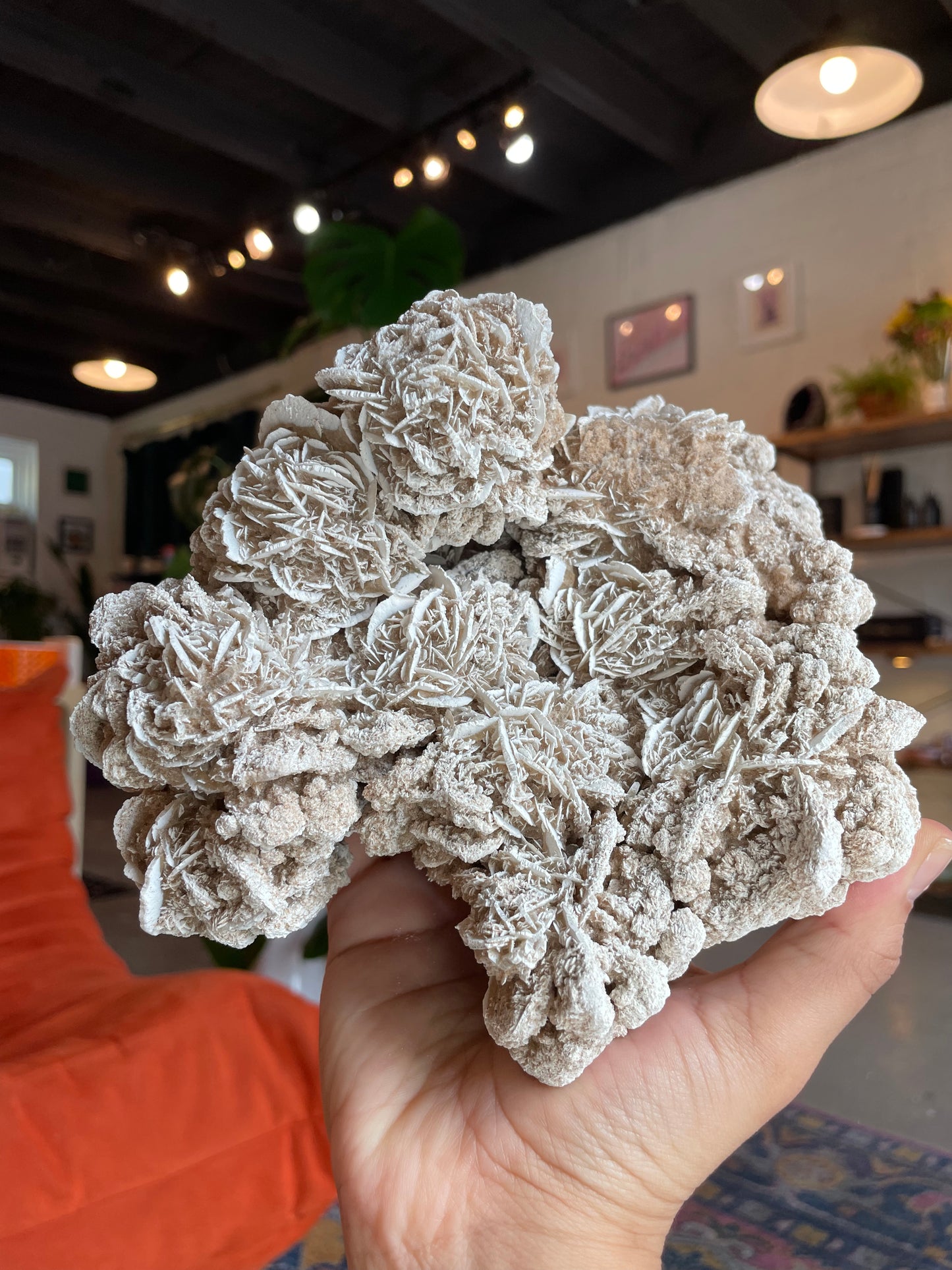Large Desert Rose Selenite Cluster - DRS001