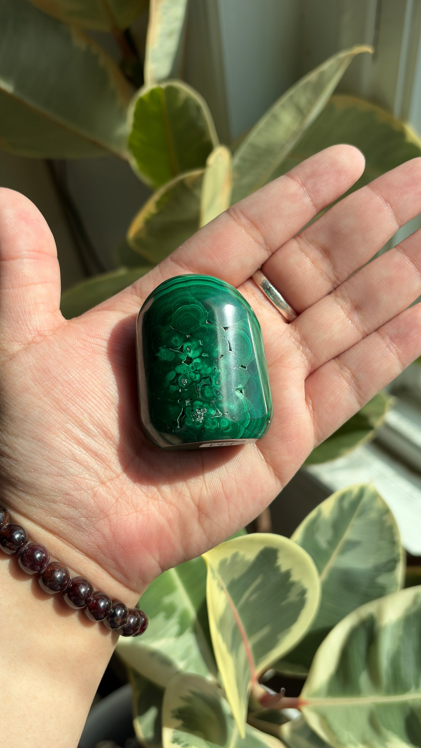 High Grade Polished Malachite Freeform