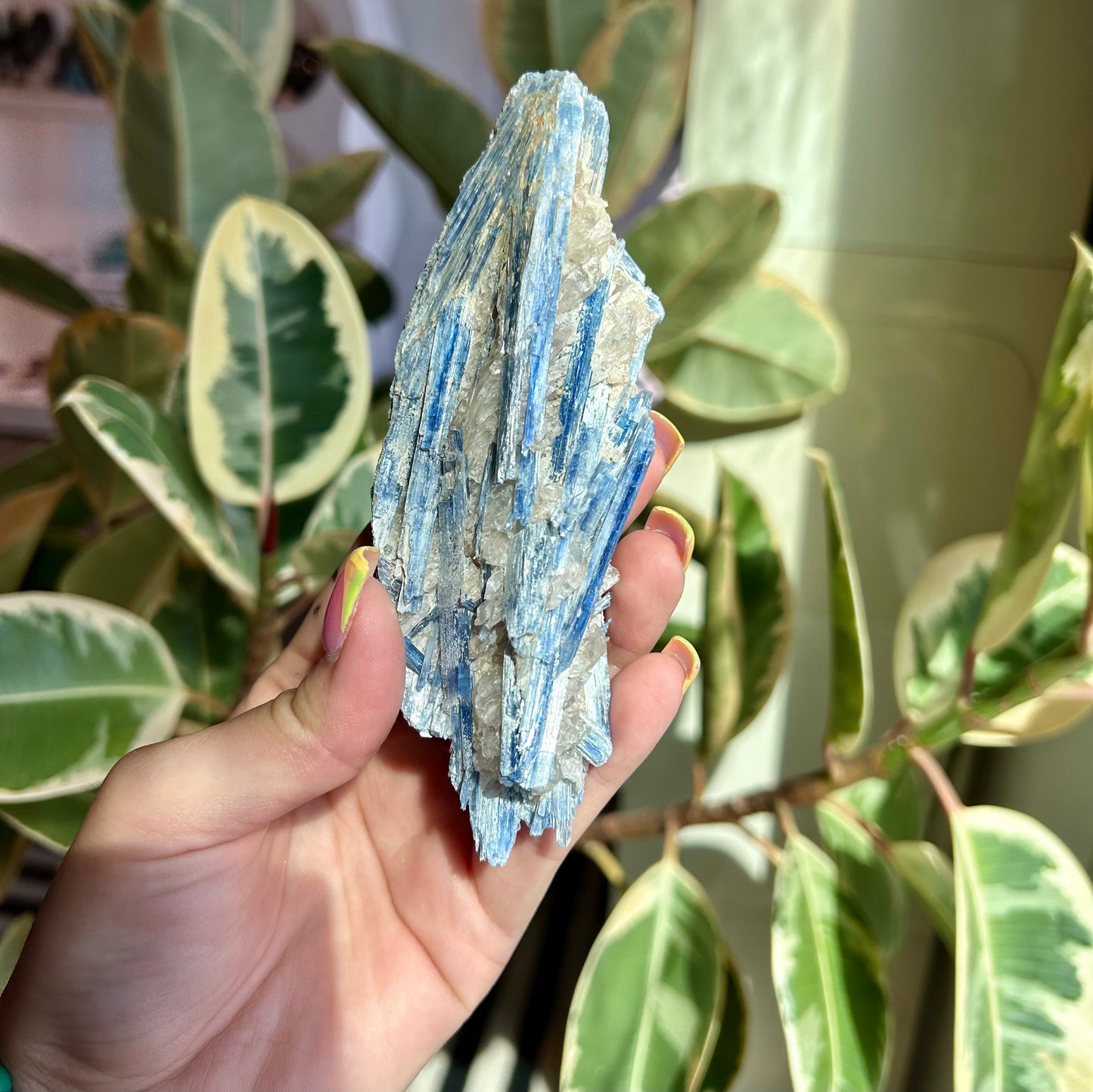 Blue Kyanite