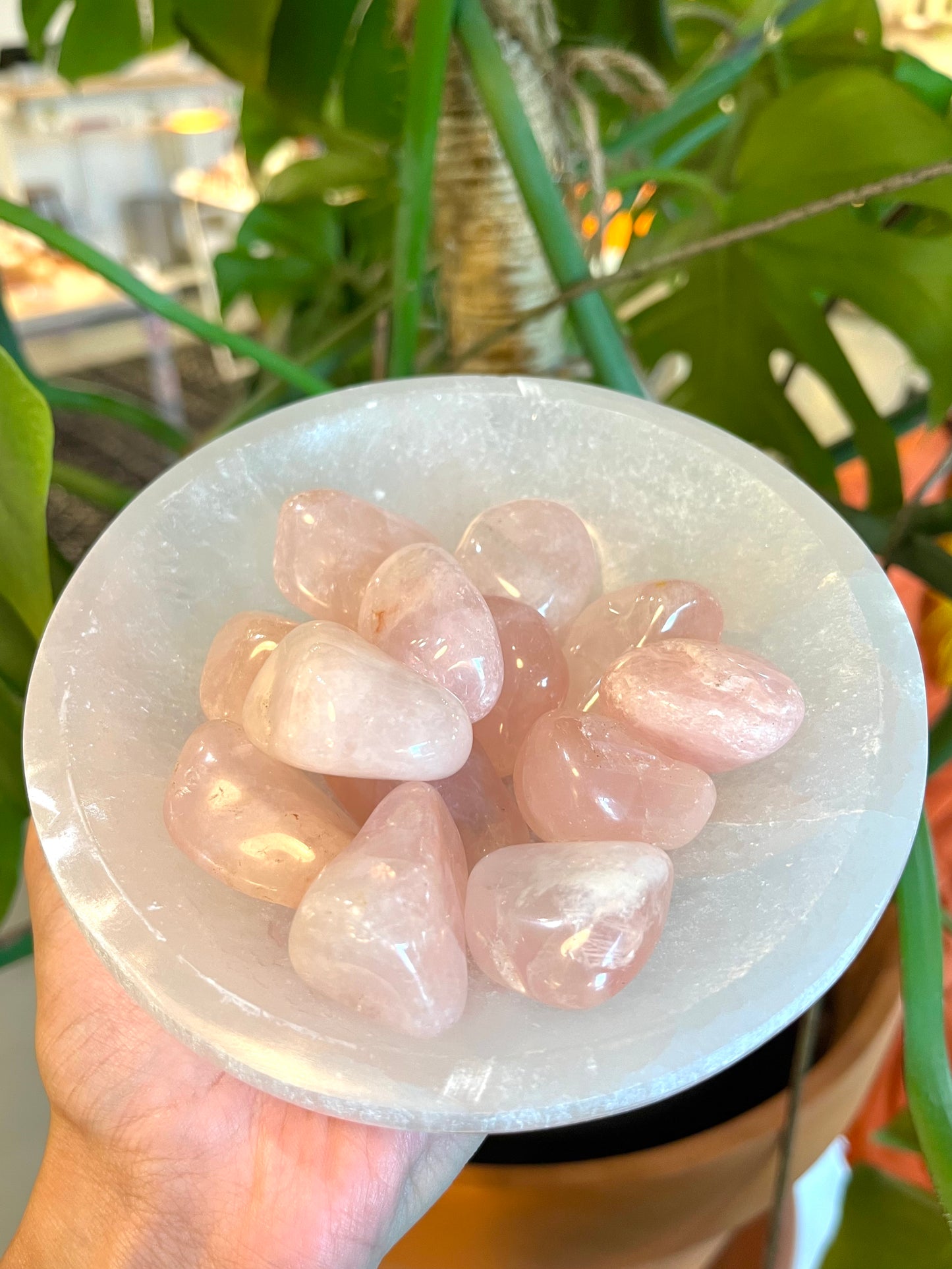 Rose Quartz Tumble - Large - Luna Metaphysical