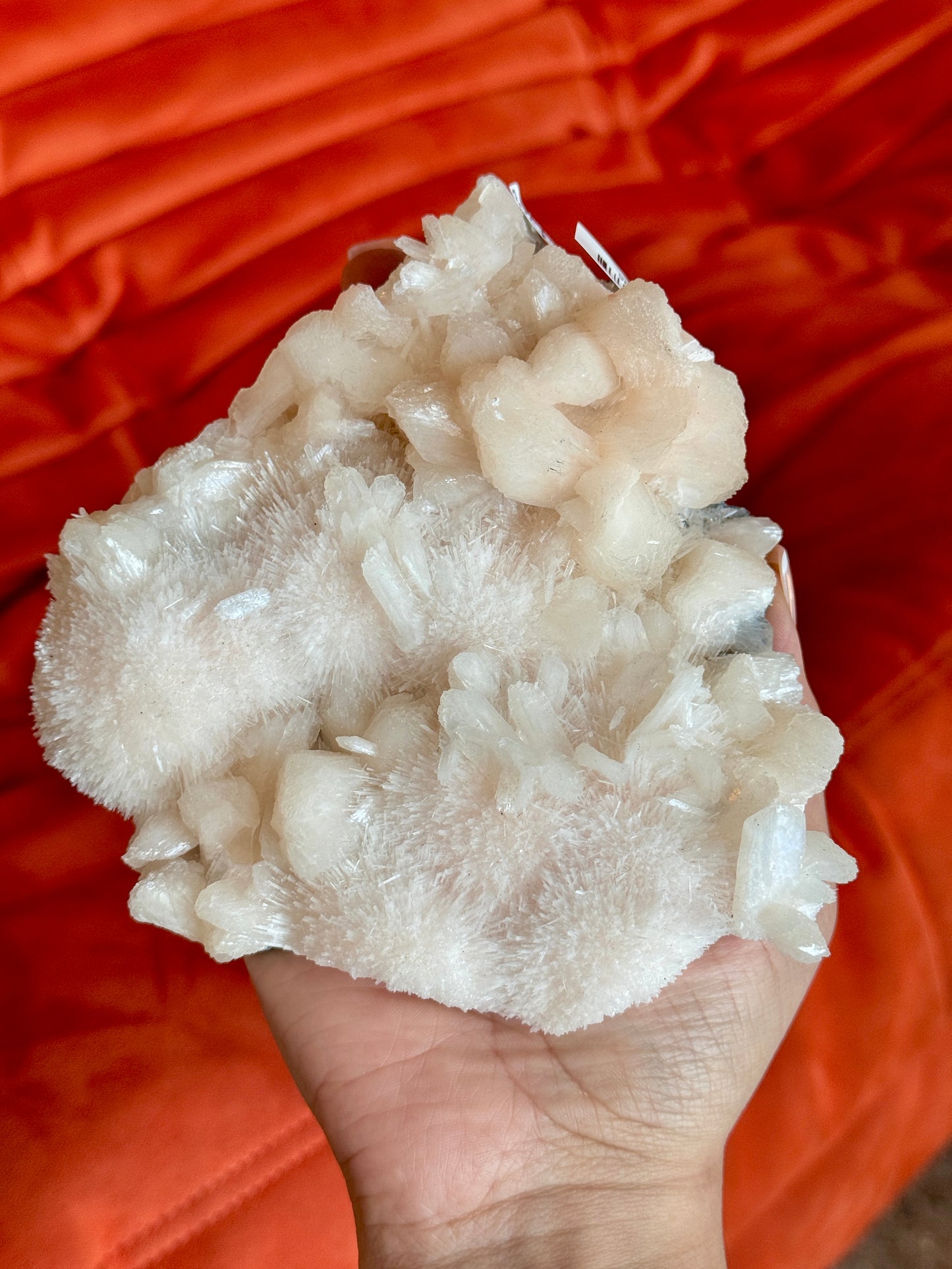 Pink Scolecite Specimen