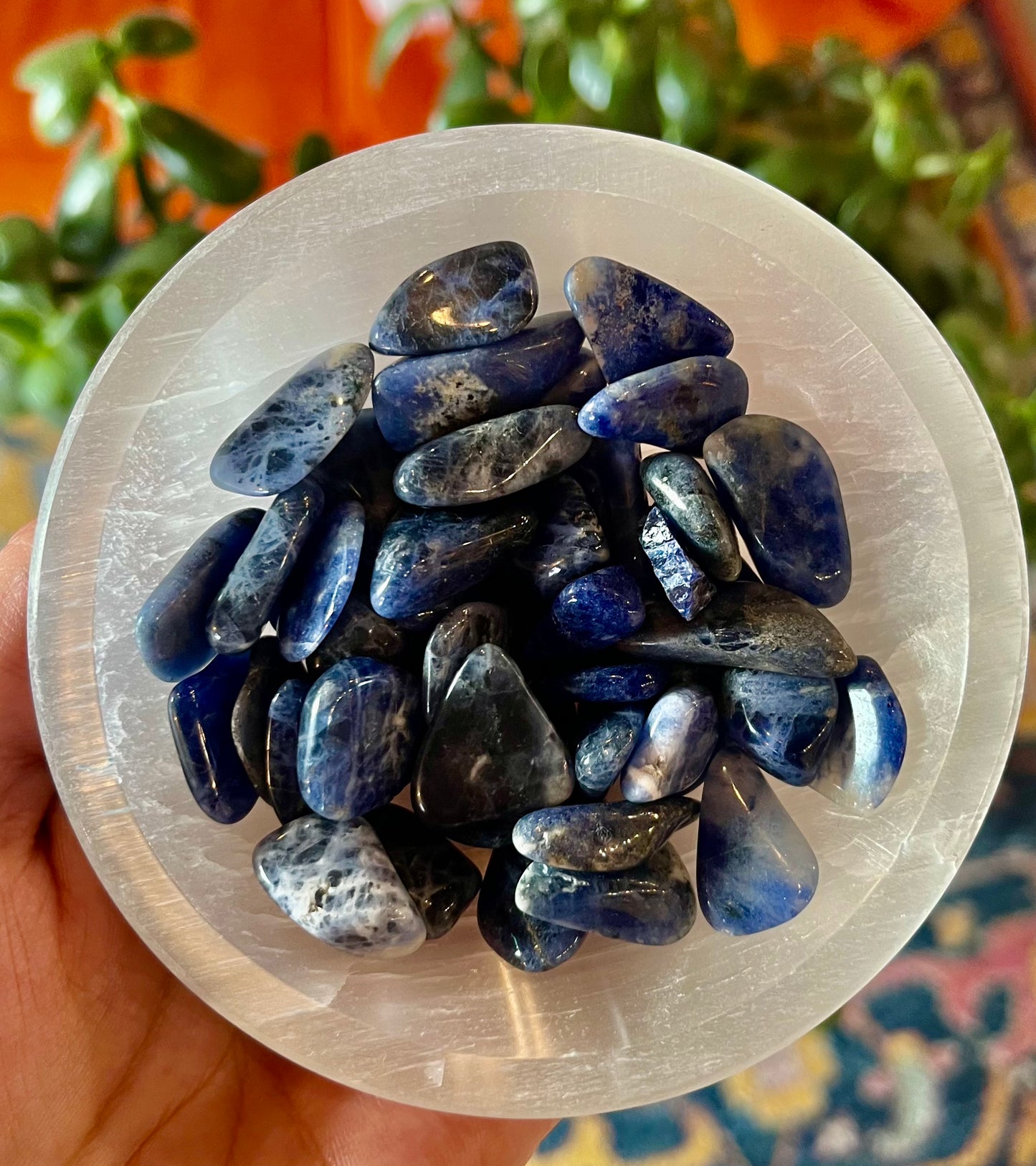 Sodalite Tumble Small