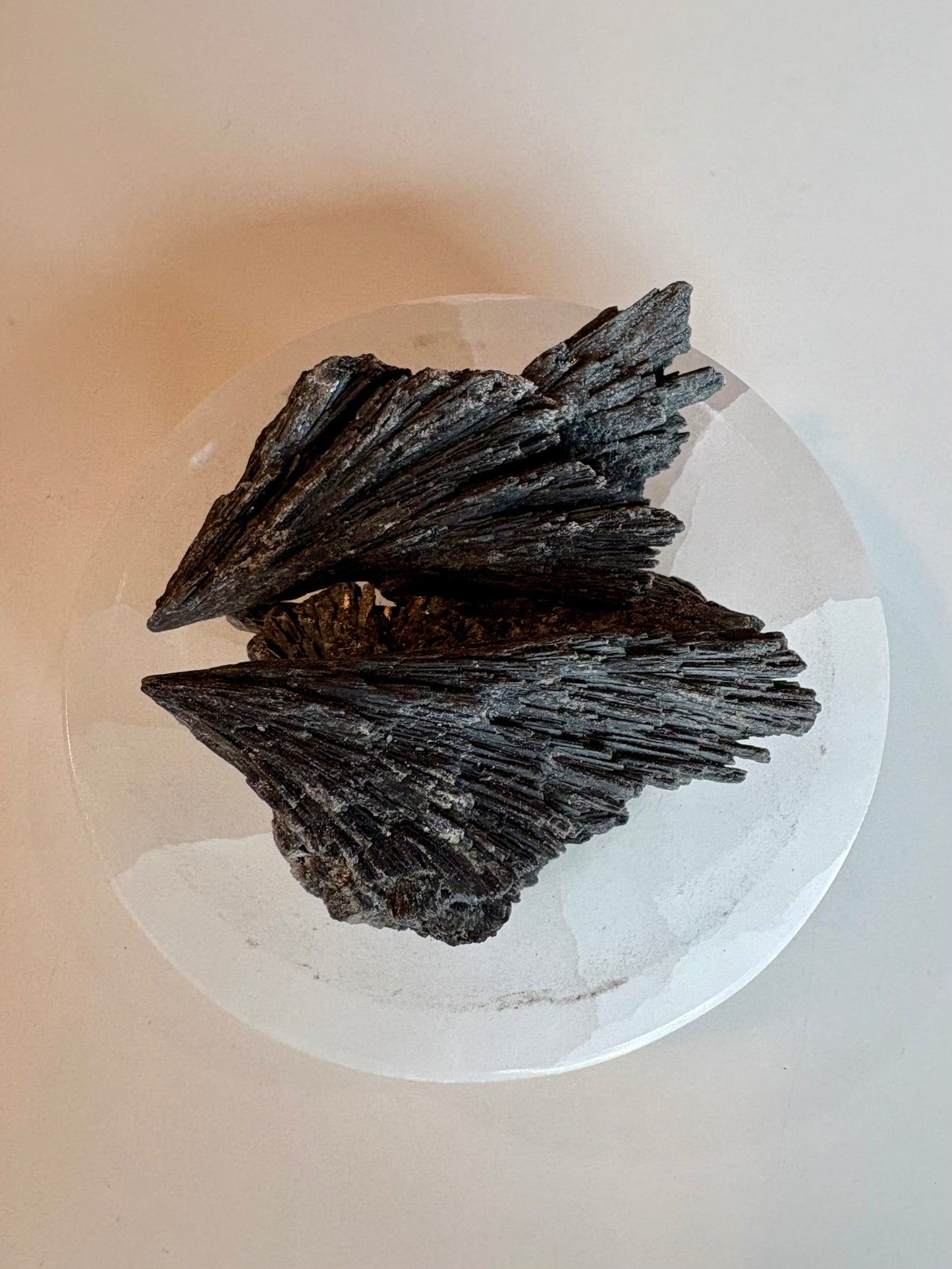 Large Black Kyanite