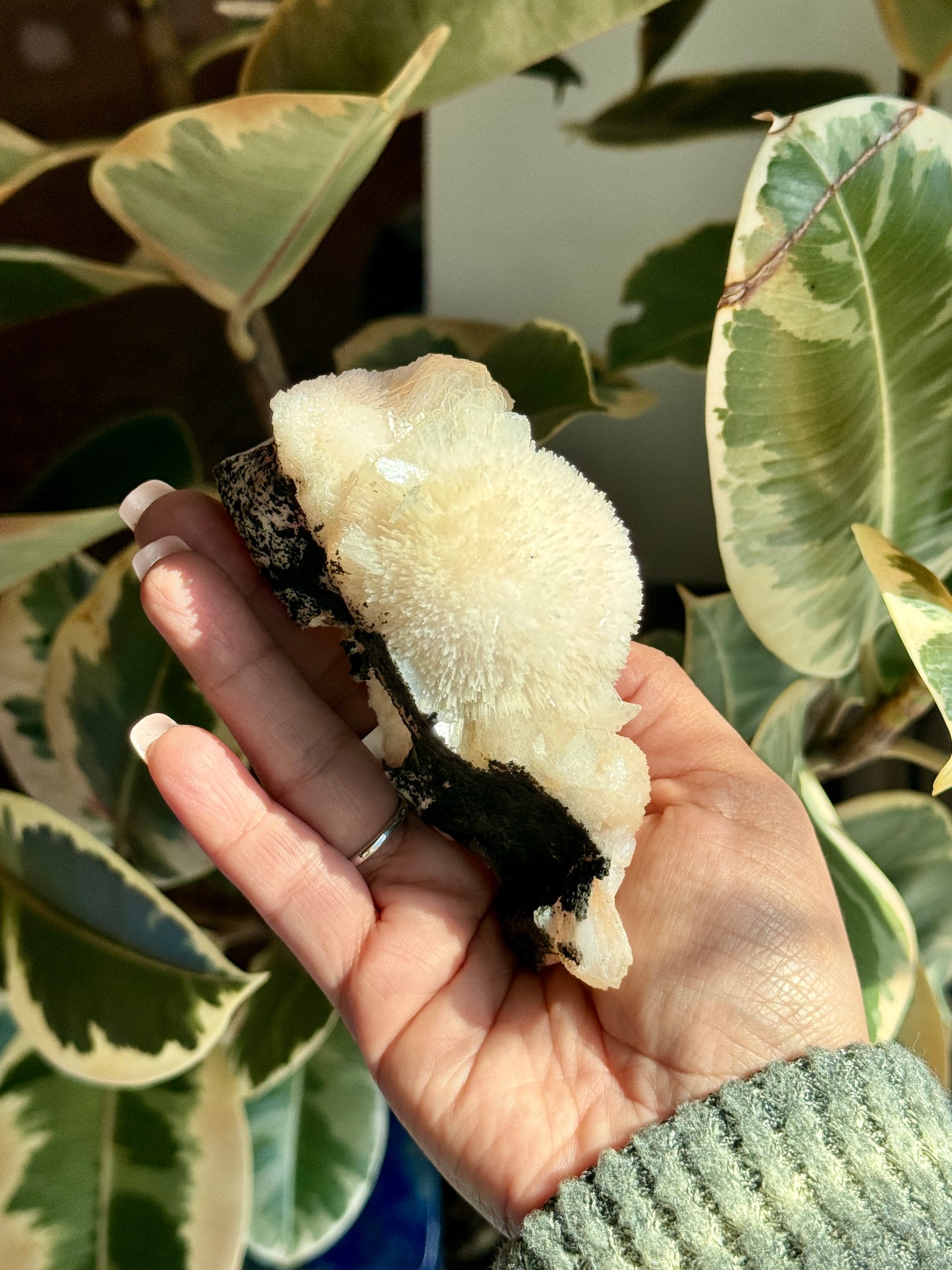 Pink Scolecite Specimen