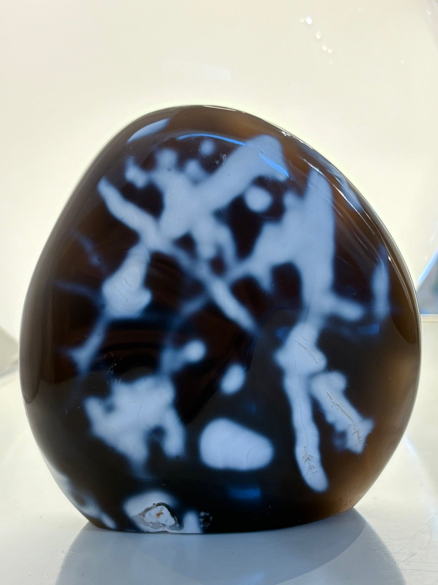 Orca Agate Freeform : C