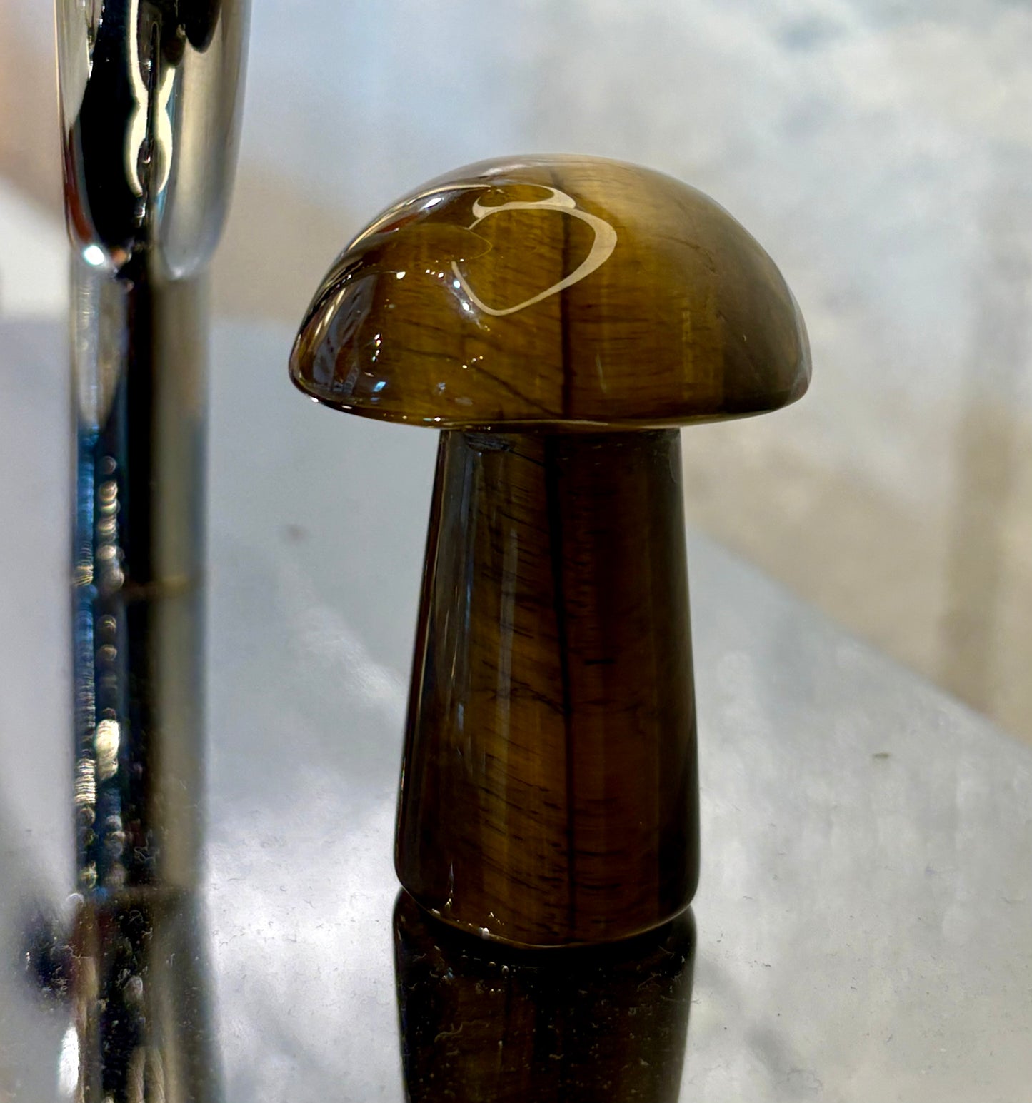 Tigers Eye Mushroom