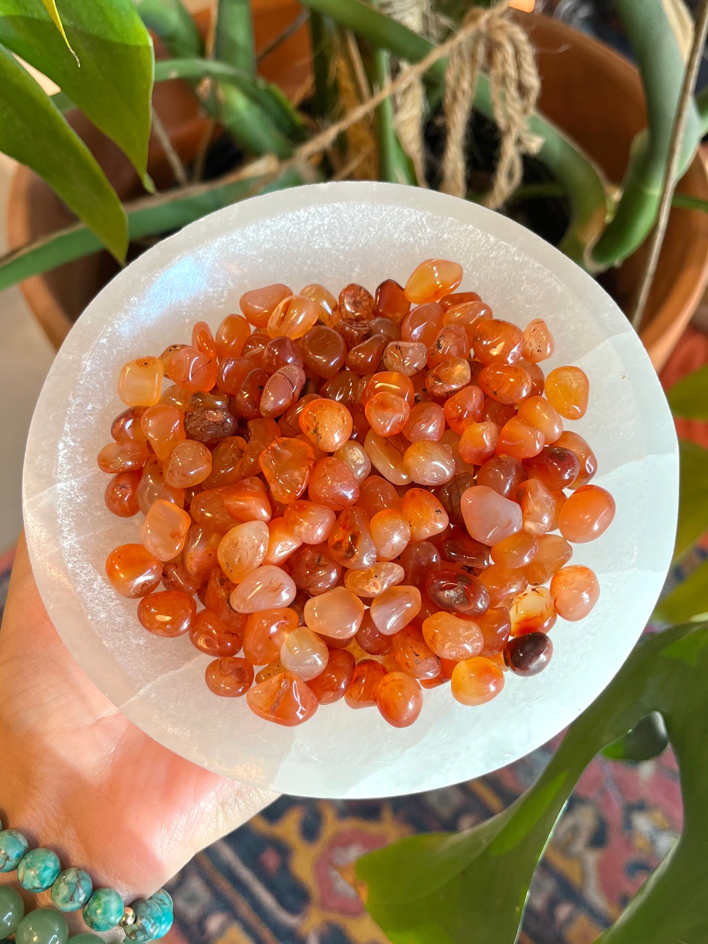 Carnelian Tumble- Small - Luna Metaphysical