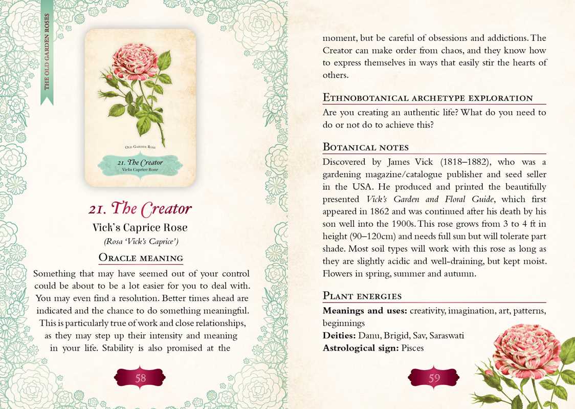 Oracle of the Roses By Cheralyn Darcey