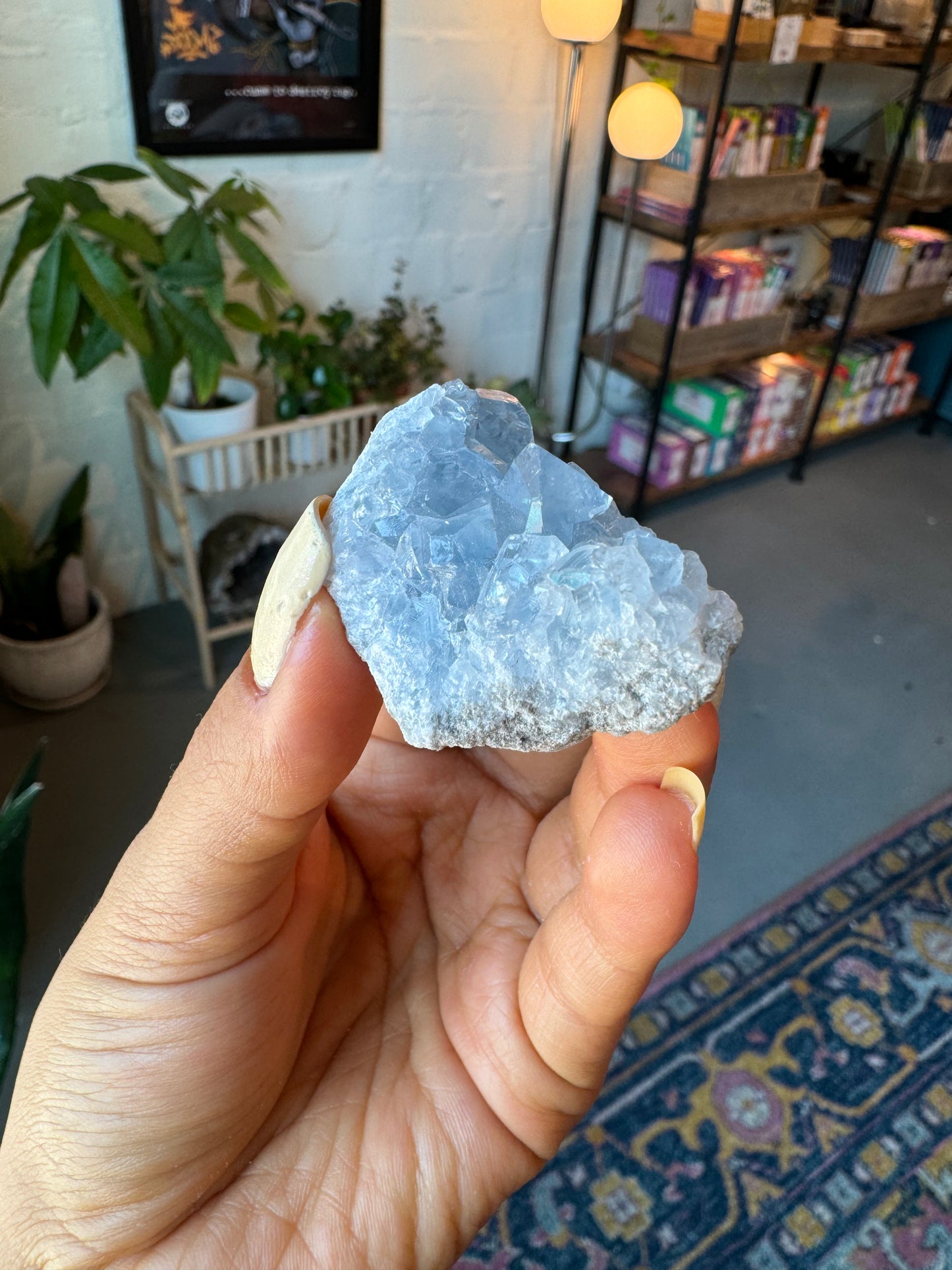 Celestite Medium Clusters