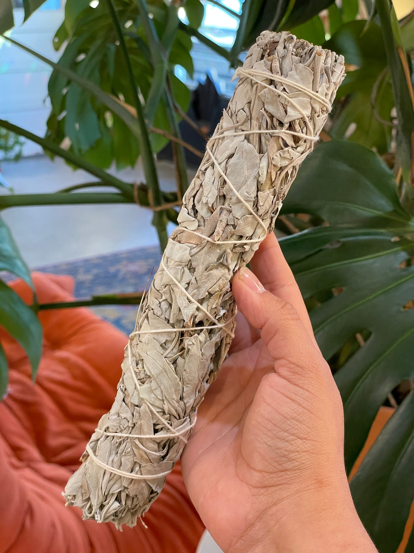 9” inch White Sage Smudging Stick