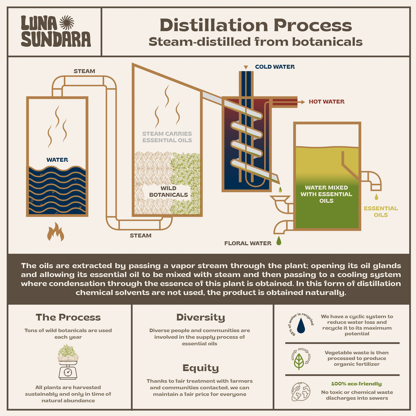 Palo Santo Essential Oil Peruvian 100% Pure Wildcrafted - 15ml