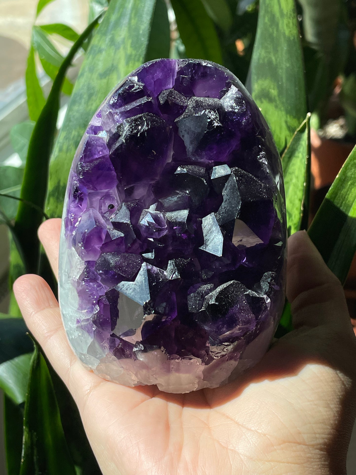 Uruguayan Amethyst Cluster with Cut Base - AMY-C001