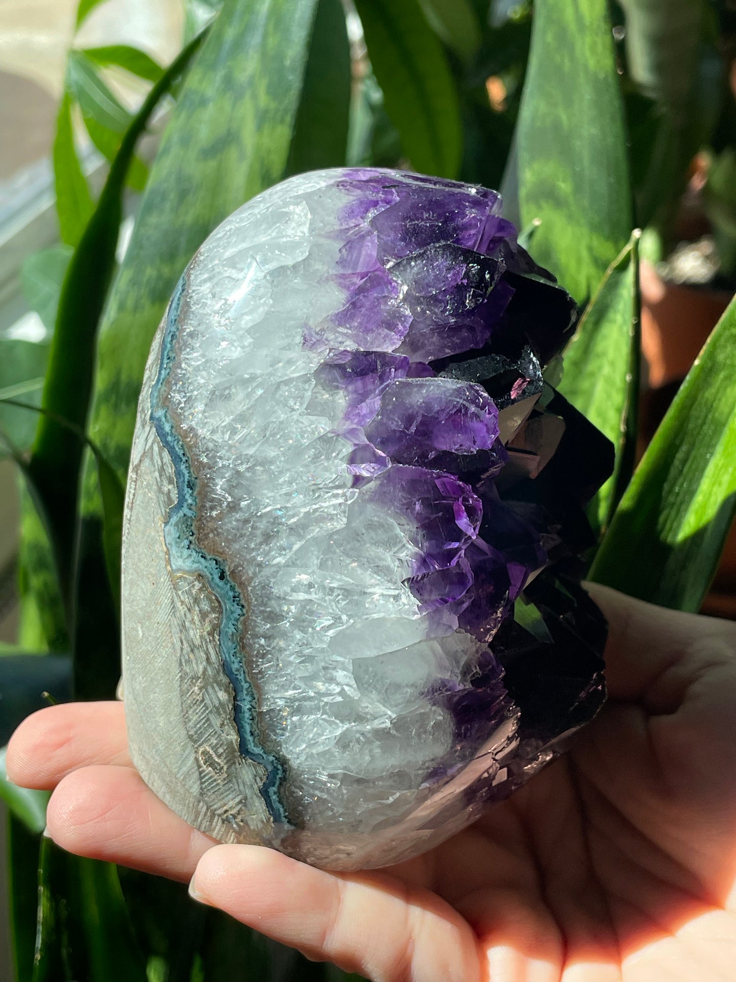 Uruguayan Amethyst Cluster with Cut Base - AMY-C001