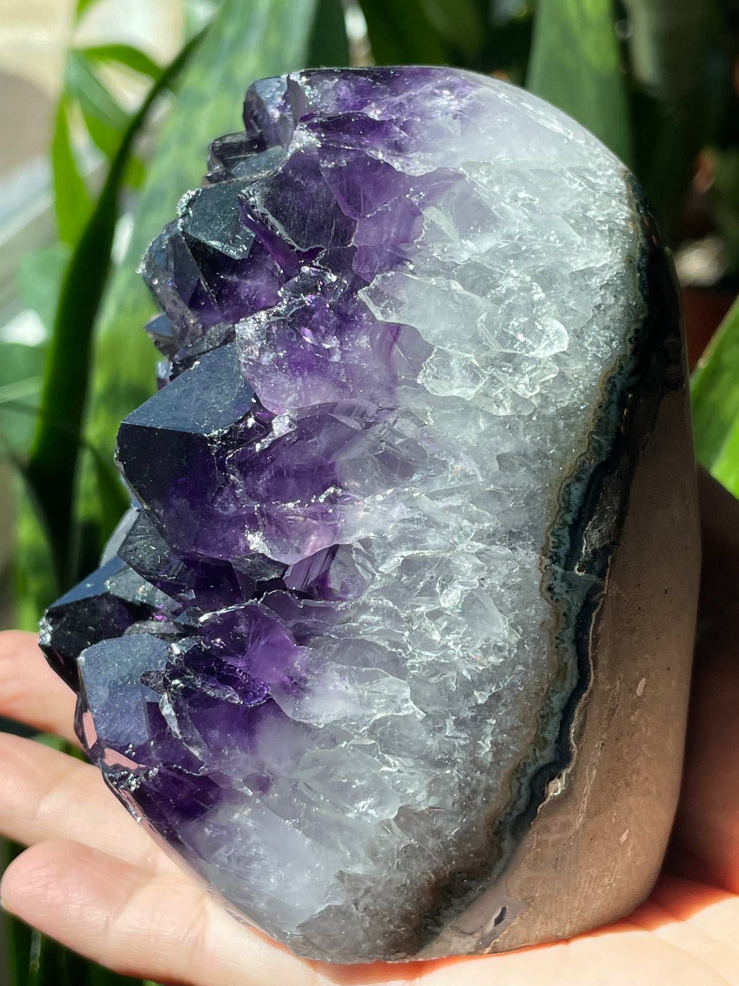 Uruguayan Amethyst Cluster with Cut Base - AMY-C001