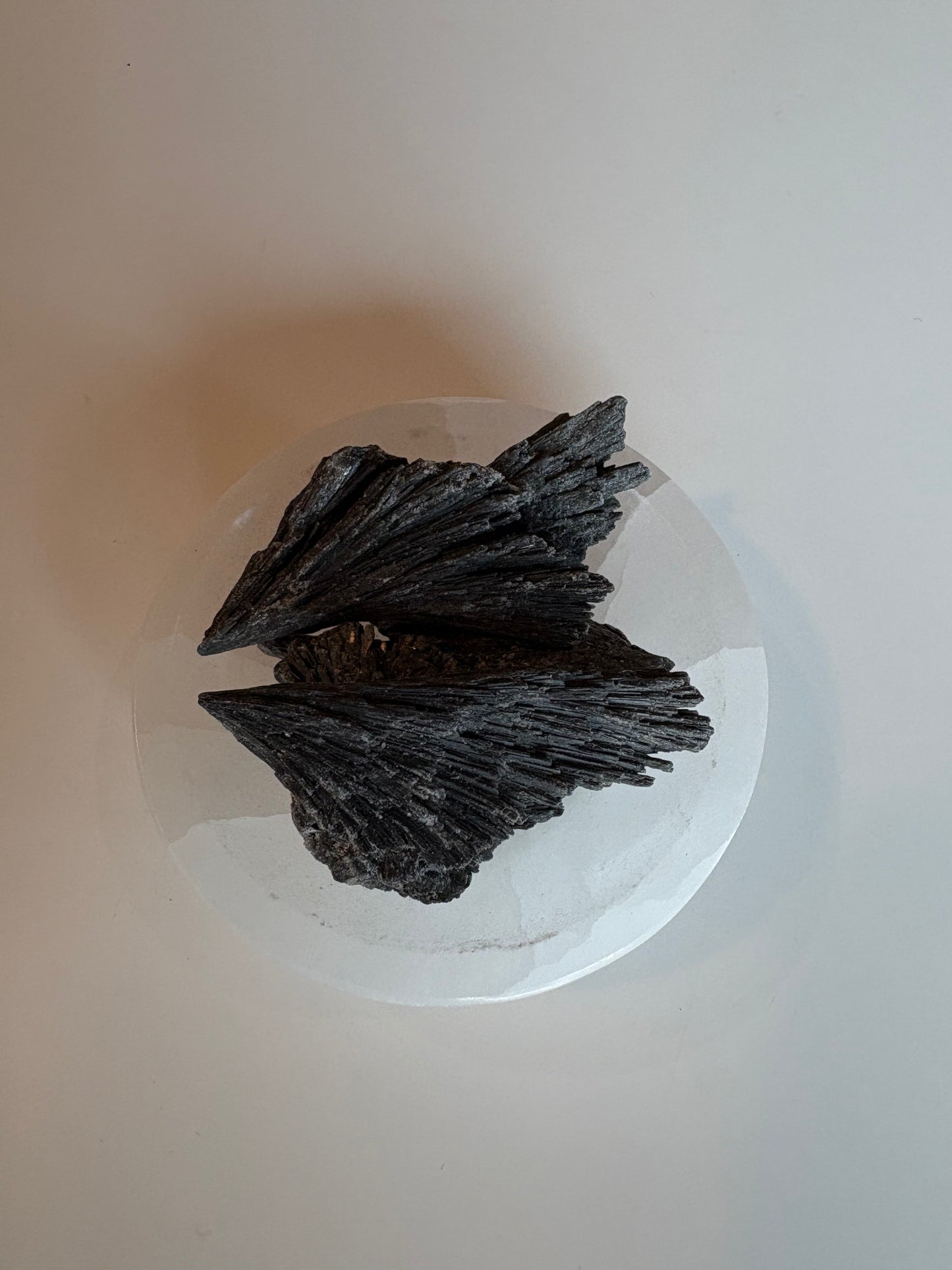 Small Black Kyanite