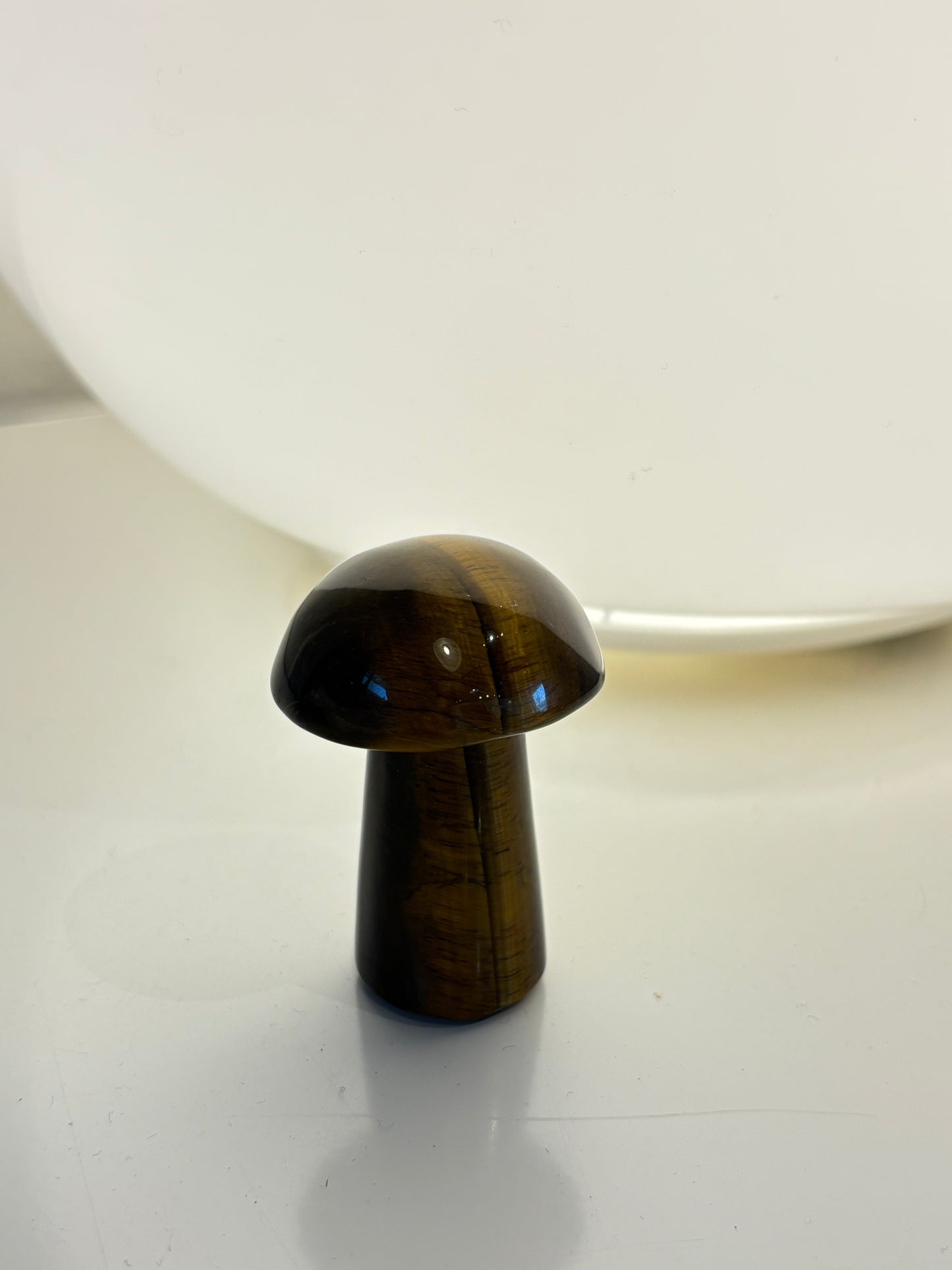 Tigers Eye Mushroom